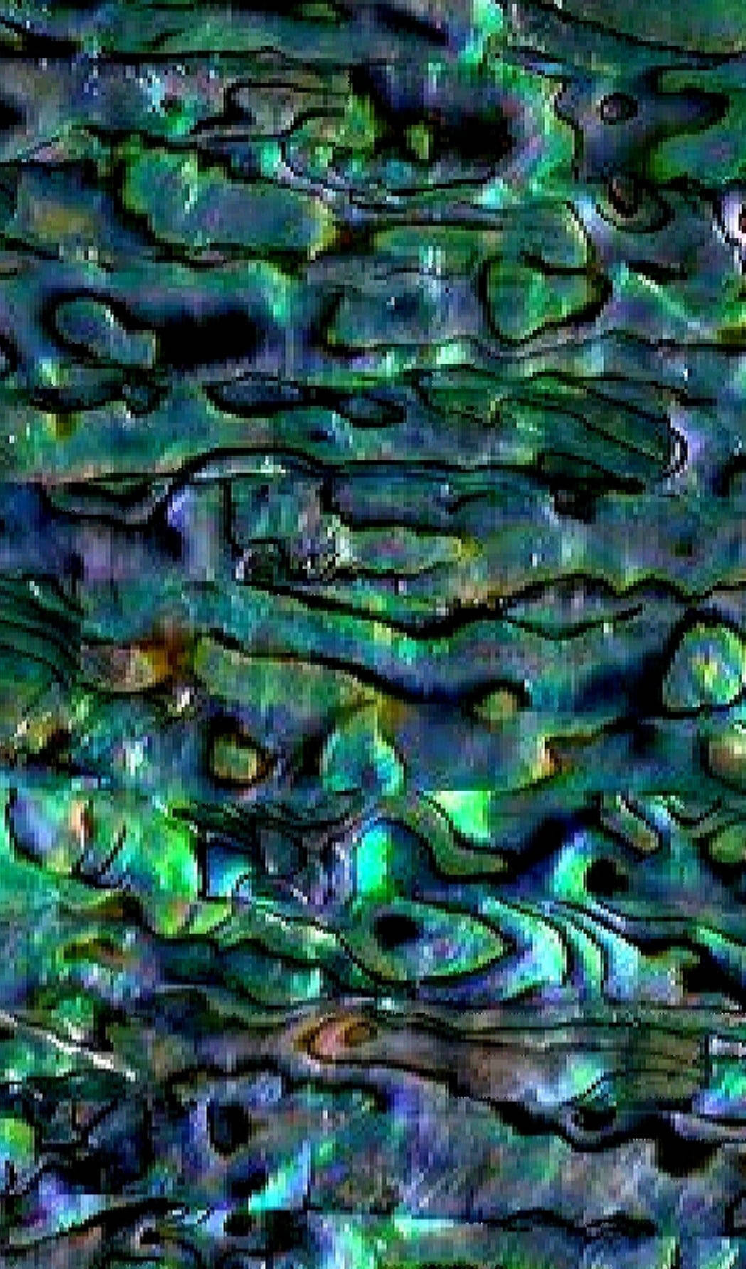 Makulay na Tekstura ng Kabibe Wallpaper