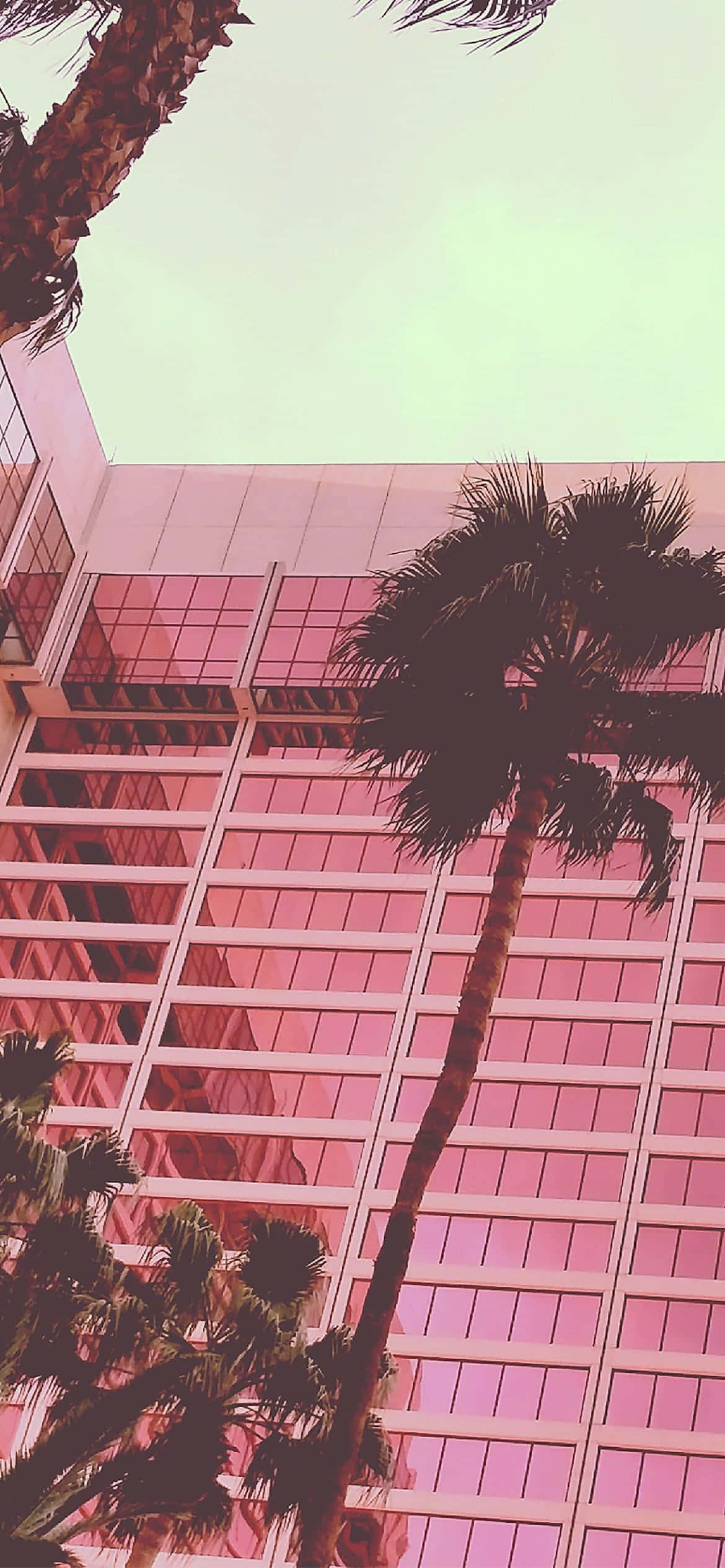 Malambot at Matamis na Aesthetic Baby Pink Wallpaper