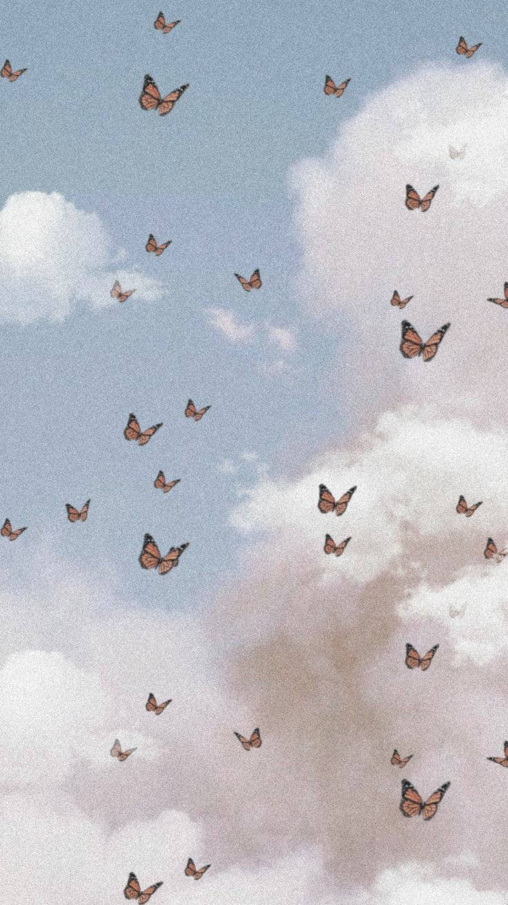 Malambot na Aesthetic na mga Paru-paro Wallpaper