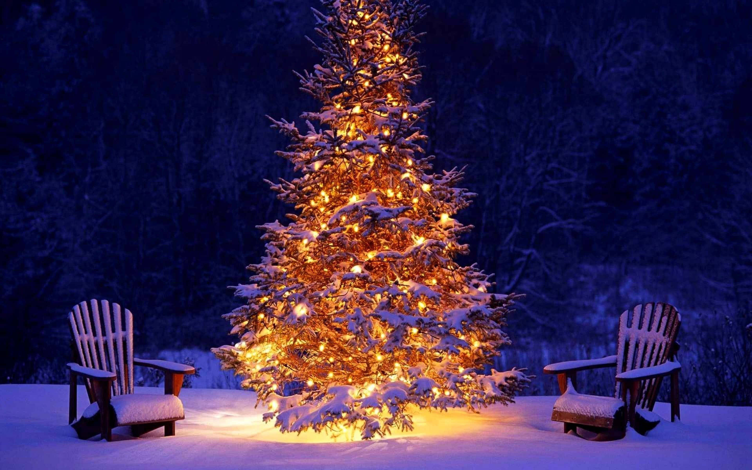 Malamig na Bisperas ng Pasko na may Puno at Silya Wallpaper