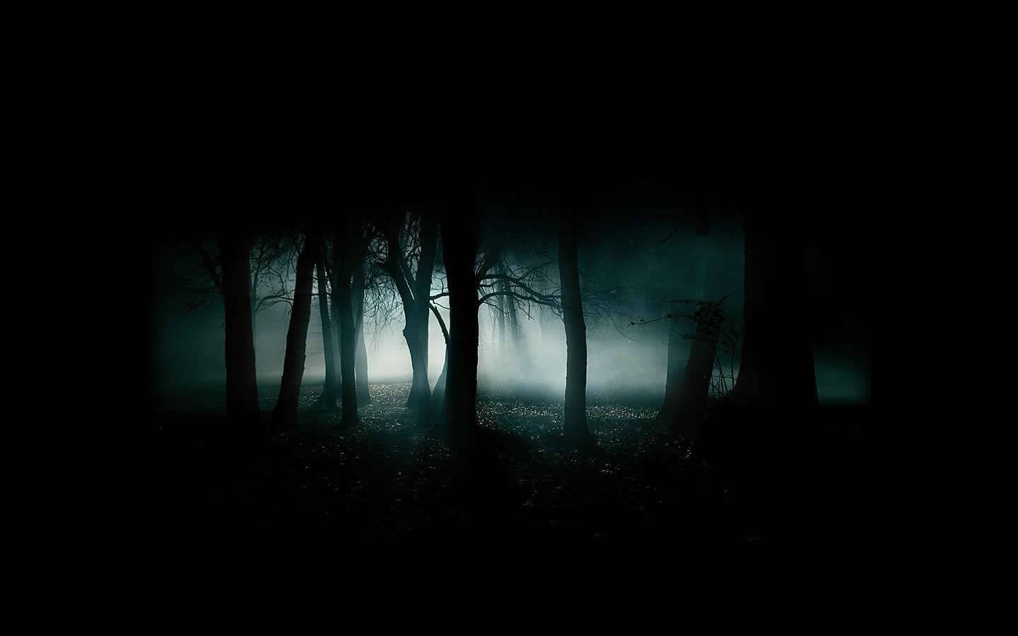 Malamig na Madilim na Silweta ng Puno Wallpaper