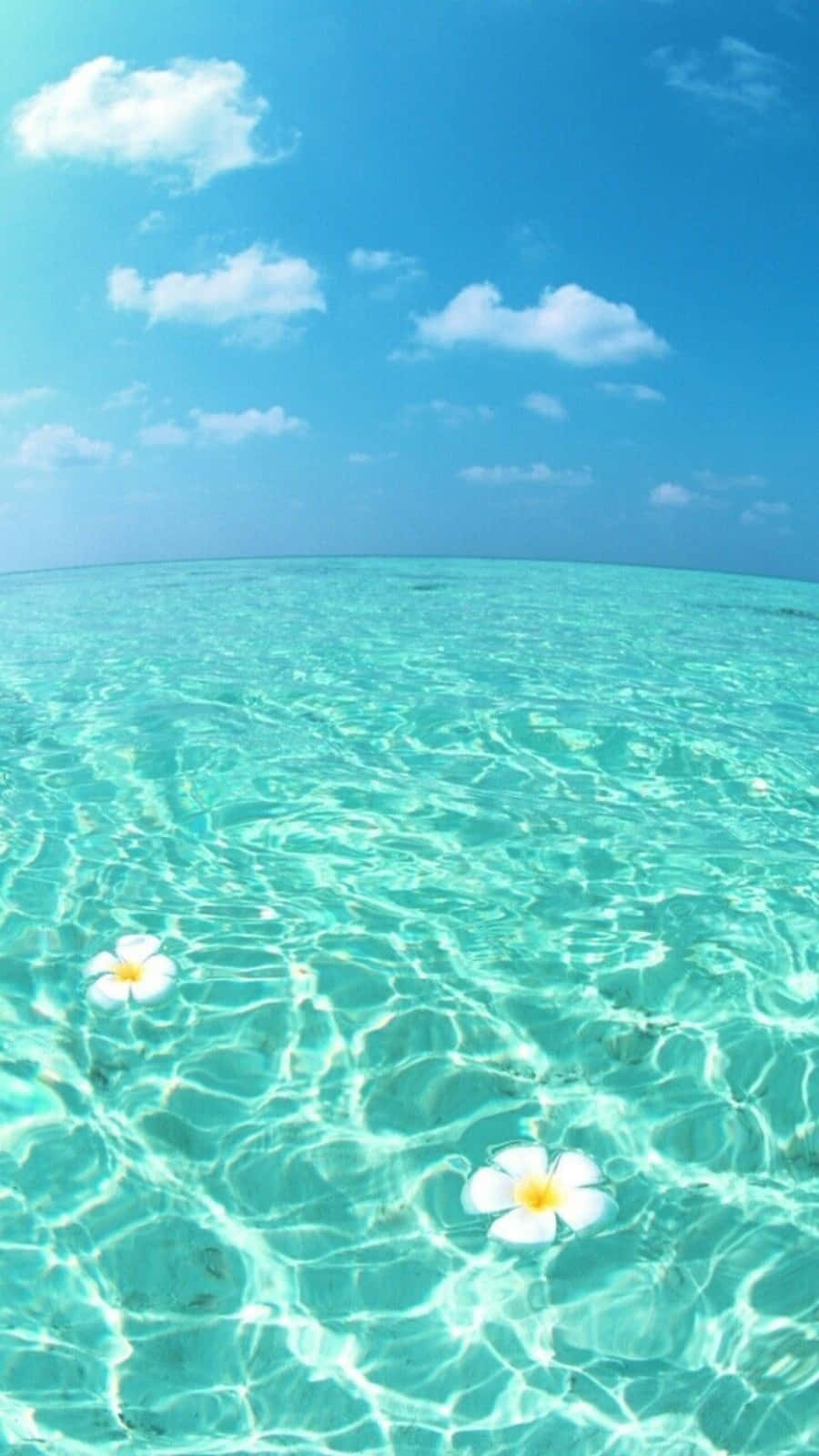 Malamig na Tag-araw na Turkesa na Tubig ng Dagat Wallpaper