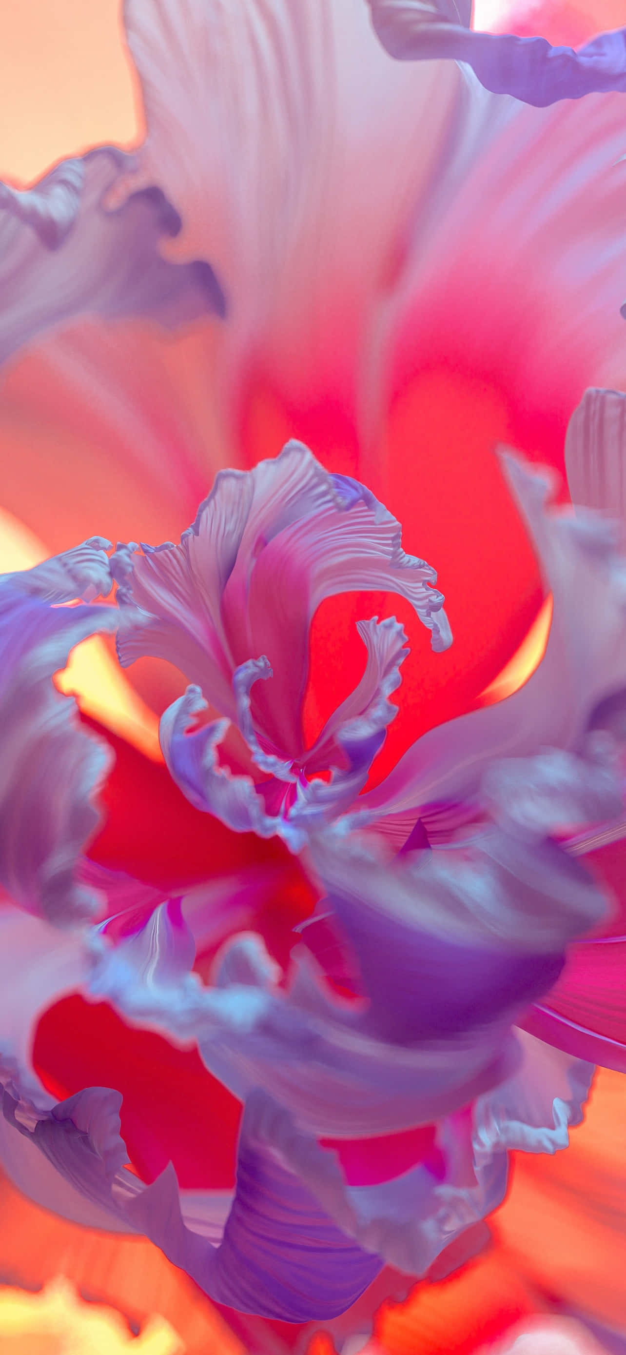 Malapit na Larawan ng Isang Matingkad na Lilang Bulaklak Wallpaper