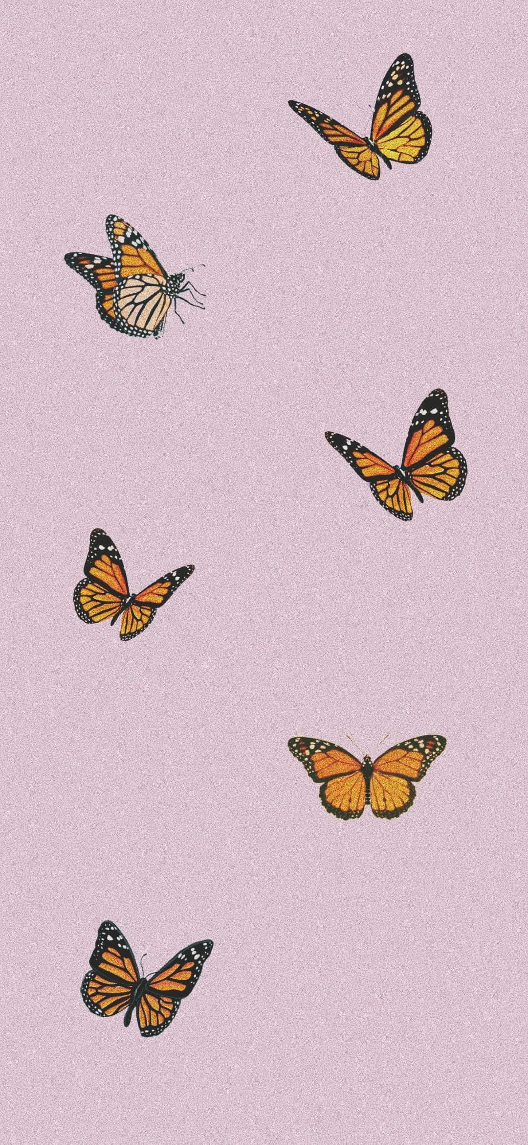Malayang Lumilipad at Masaya Wallpaper