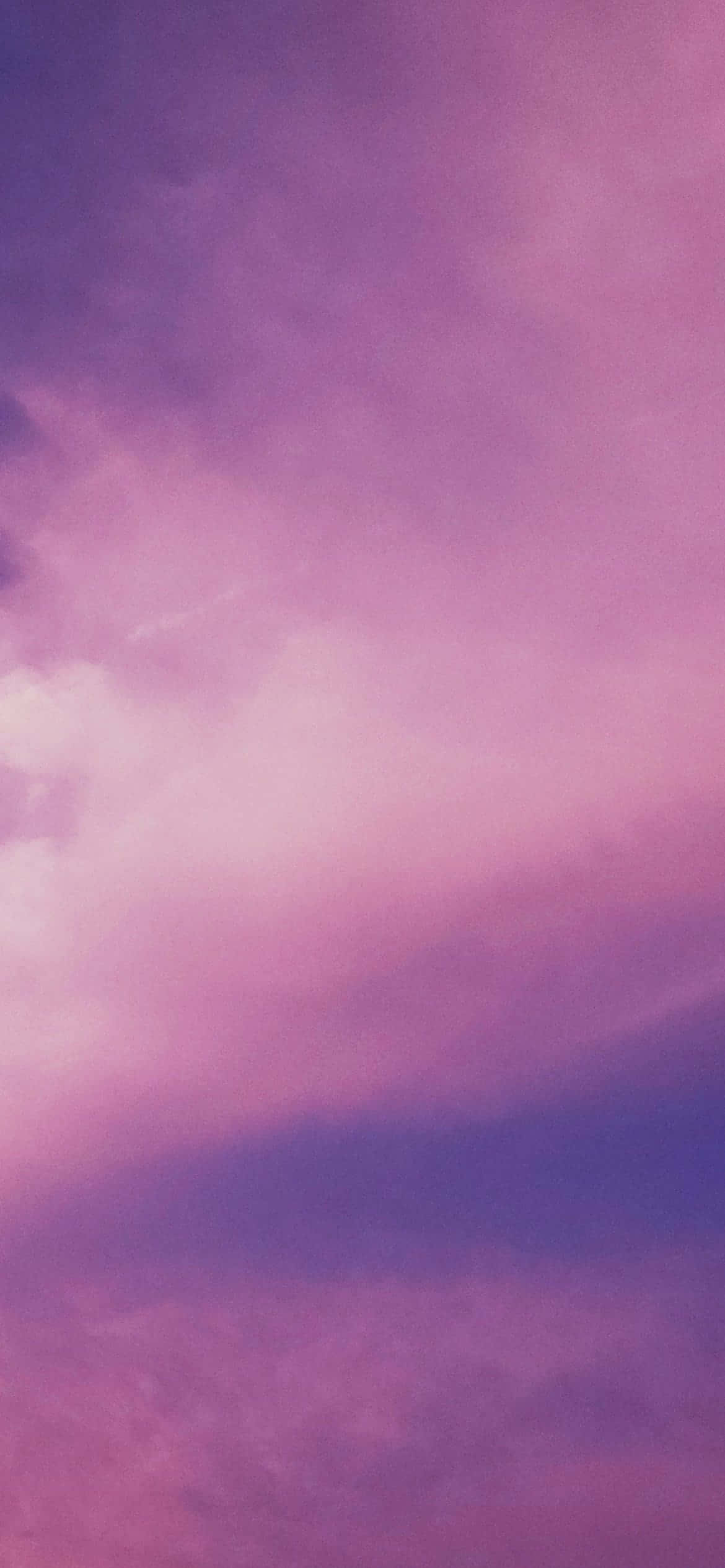 Maliwanag at makulay na kombinasyon ng lila at pink Wallpaper