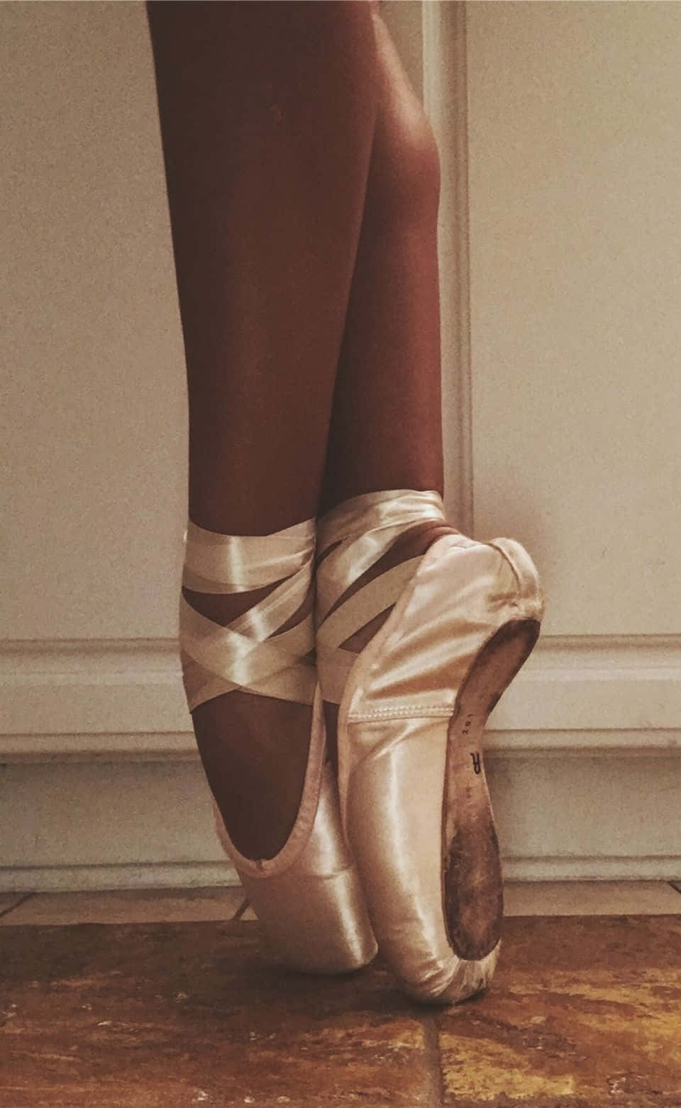 Maliwanag na Kayumangging Sapatos ng Pointe Wallpaper