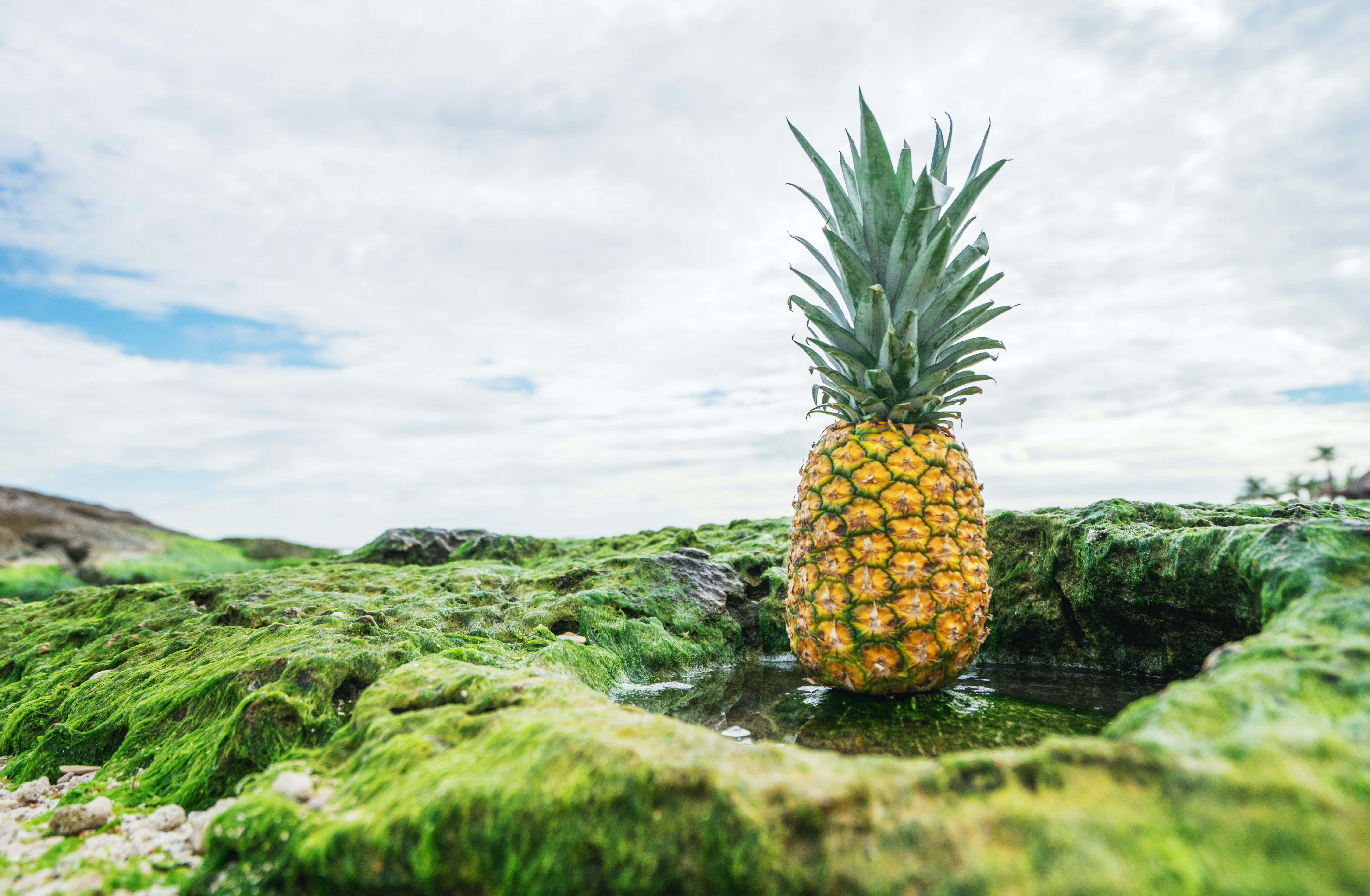 Maliwanag na makulay na pinya na may dahon sa kulay rosas na background Wallpaper