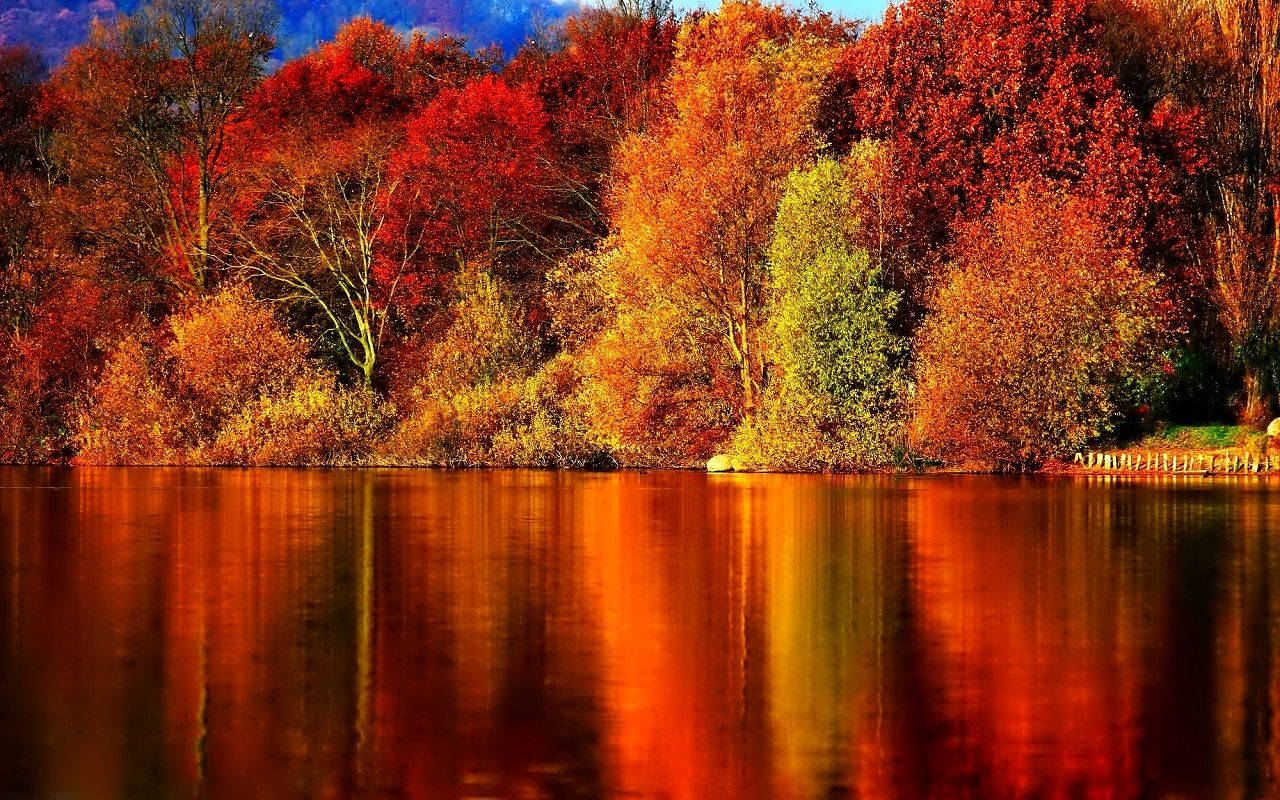 Mamasyal sa mapayapang lawa na puno ng kulay ng taglagas. Wallpaper