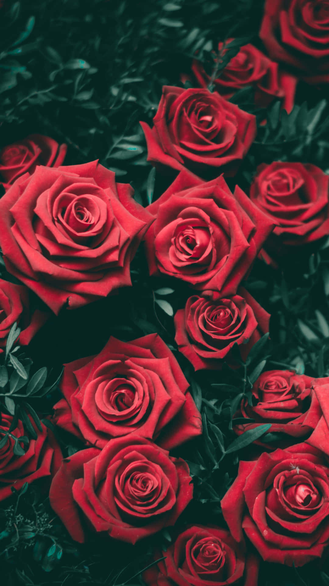 Manatiling nangunguna gamit ang bagong iPhone 13 na handa sa 5G Wallpaper