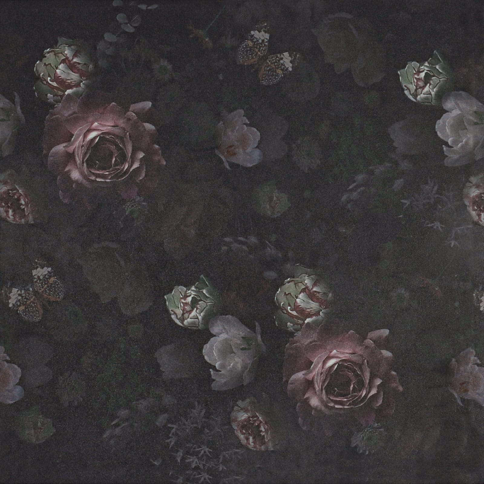 Mapa ng Bulaklak na Madilim na Background Wallpaper