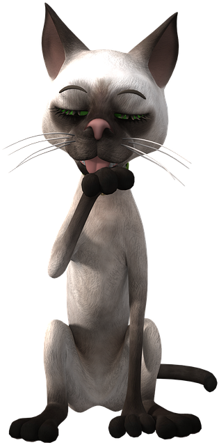 Mapag-isip na Kartun na Pusang Siamese Wallpaper