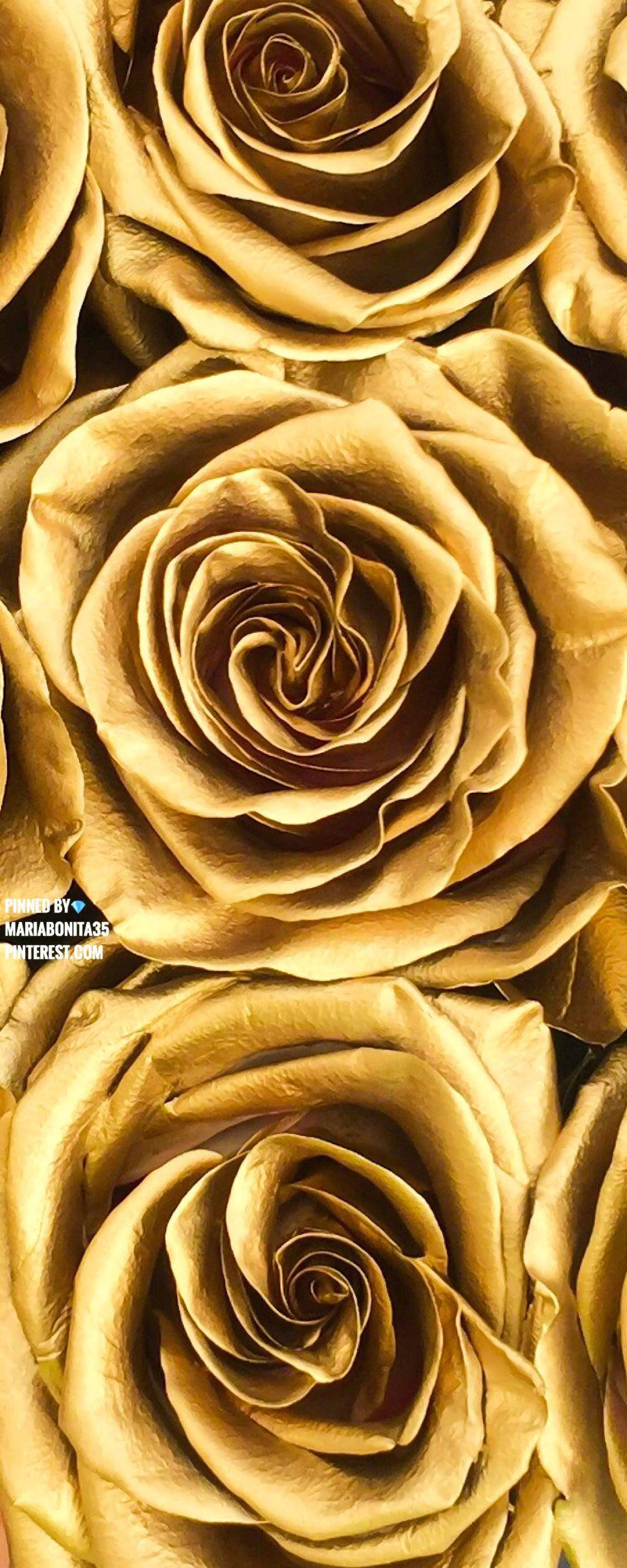 Mapang-akit na Kagandahan ng Gintong Aesthetic Wallpaper