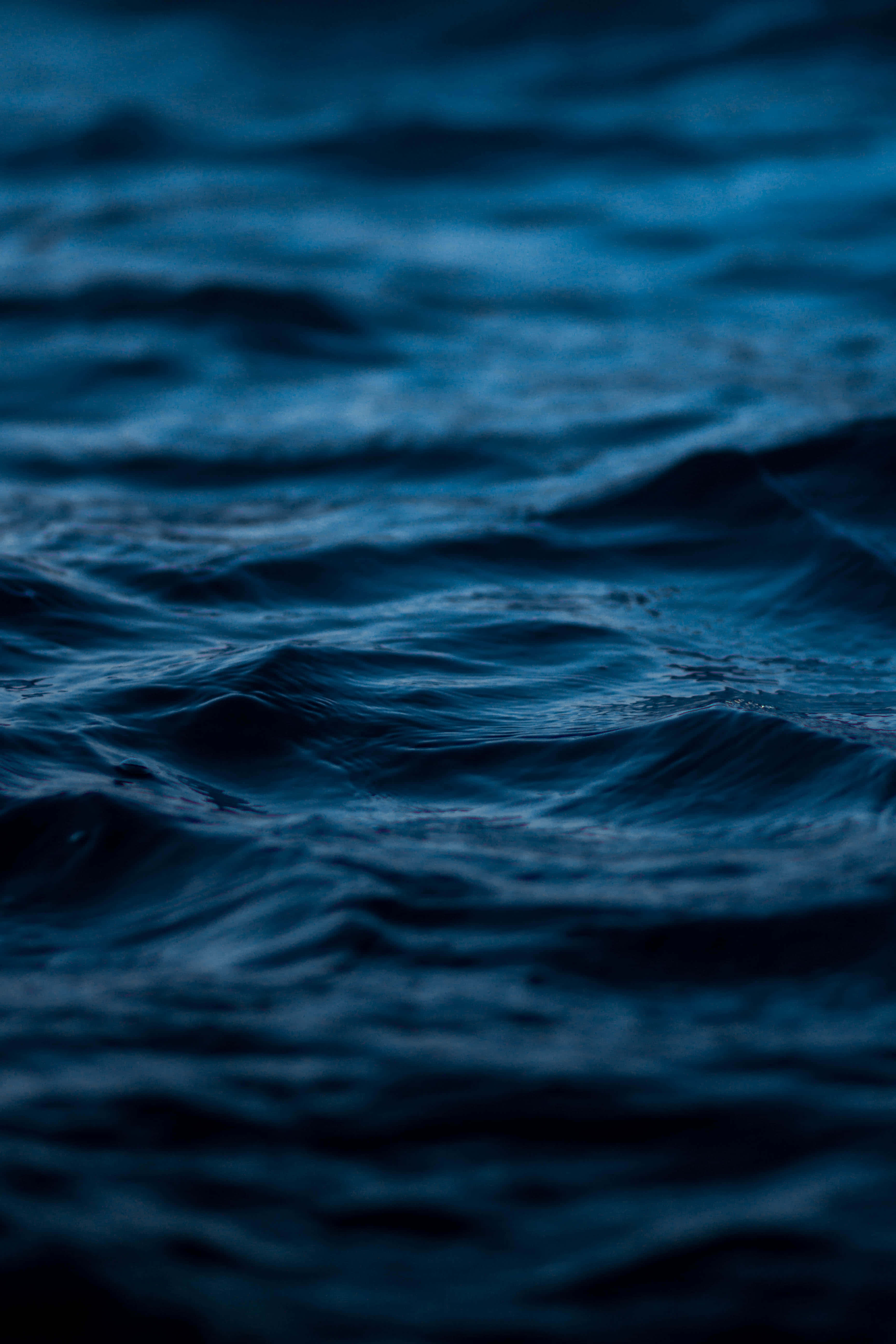 Mapang-akit na Kalaliman ng Dagat Wallpaper