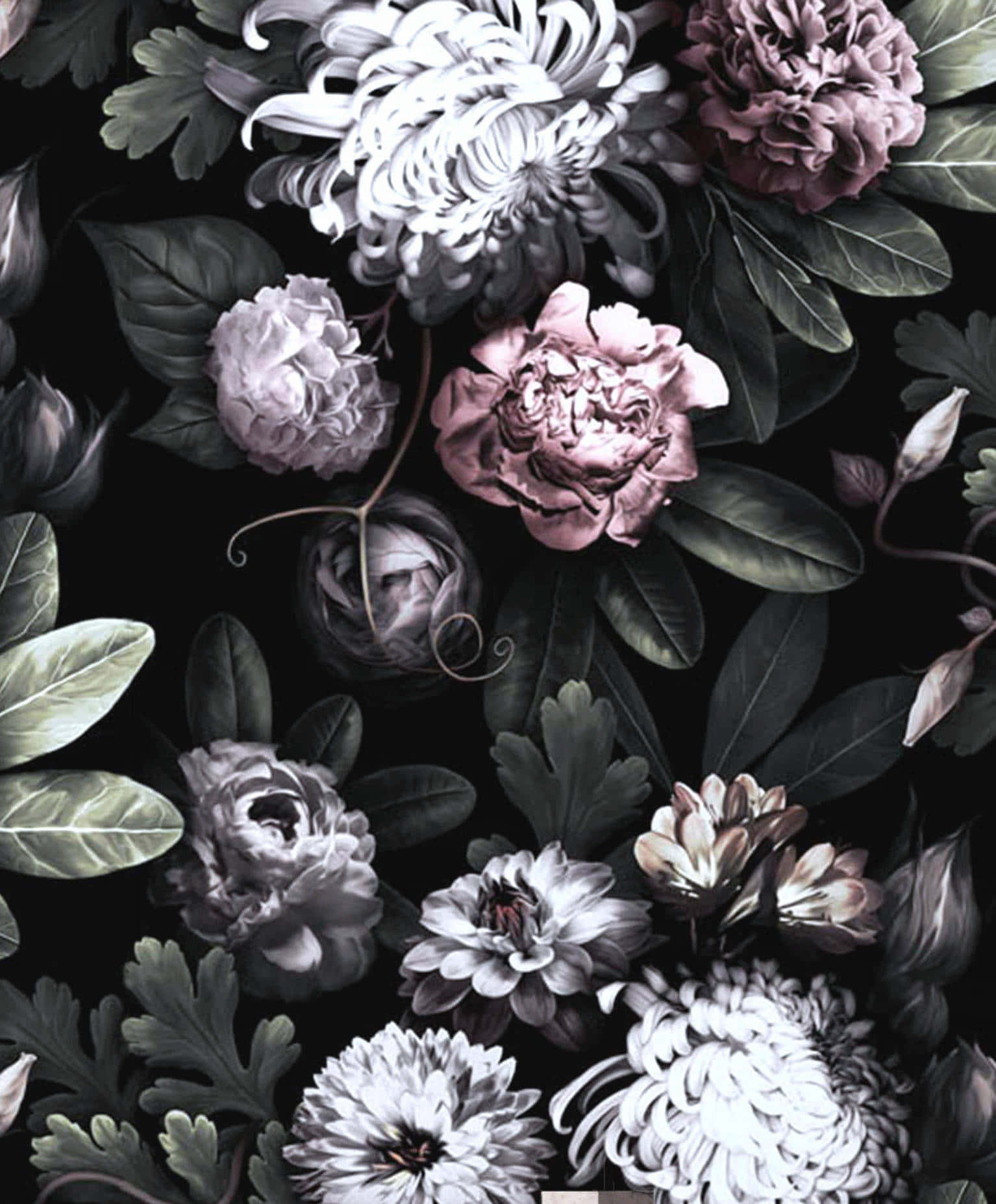 Mapang-akit na Madilim na Bulaklak na Background Wallpaper
