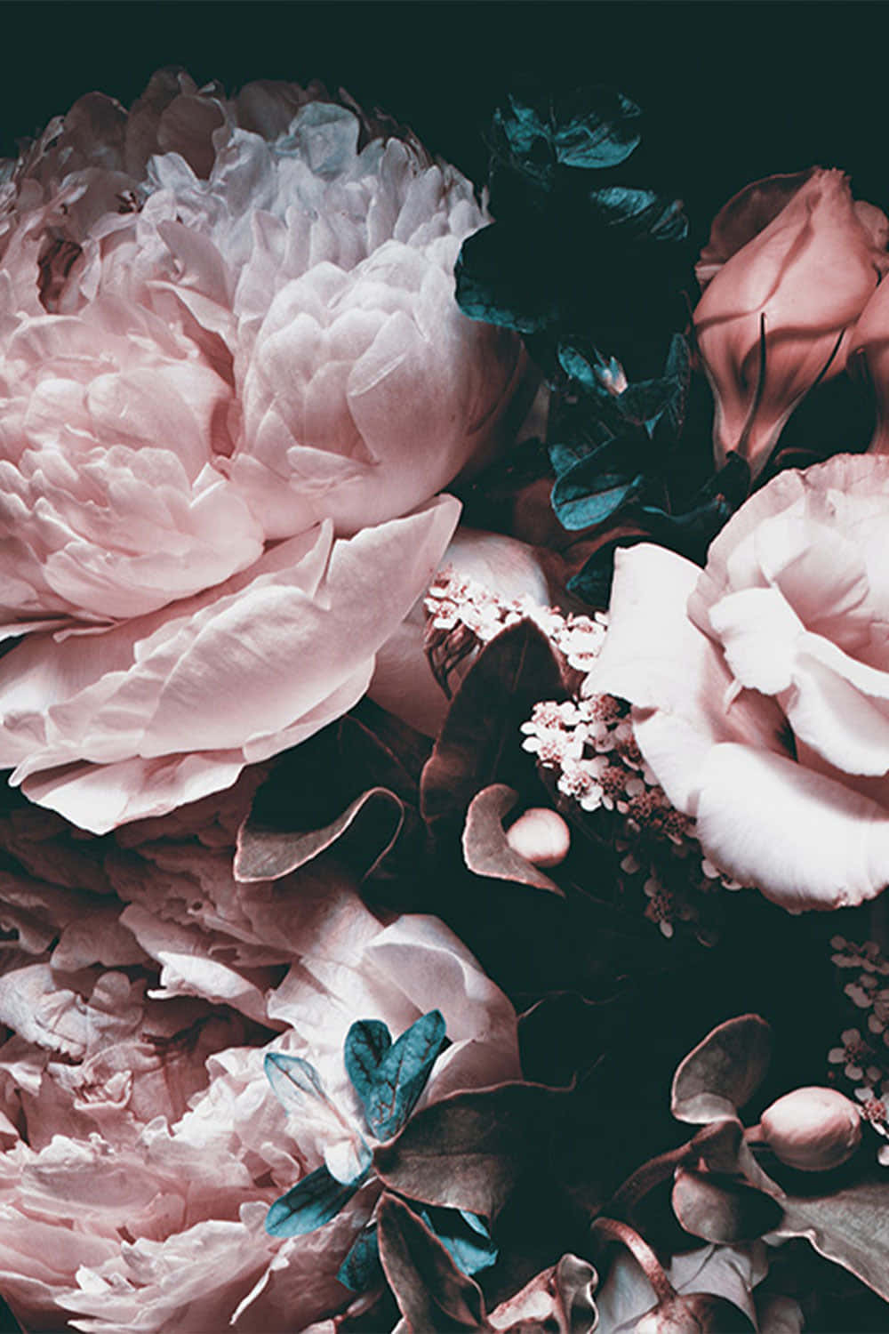 Mapang-akit na Madilim na Floral Background Wallpaper