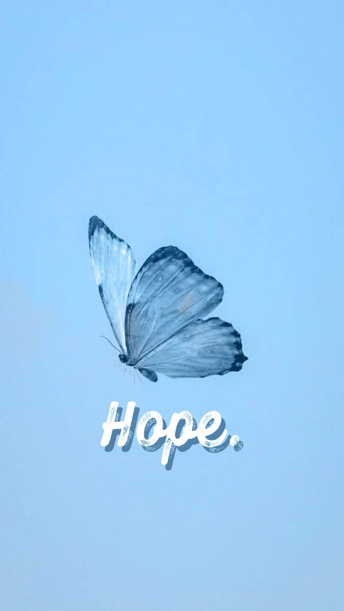 Mapayapang Pastel Blue Aesthetics na May Banayad na Paru-paro Wallpaper