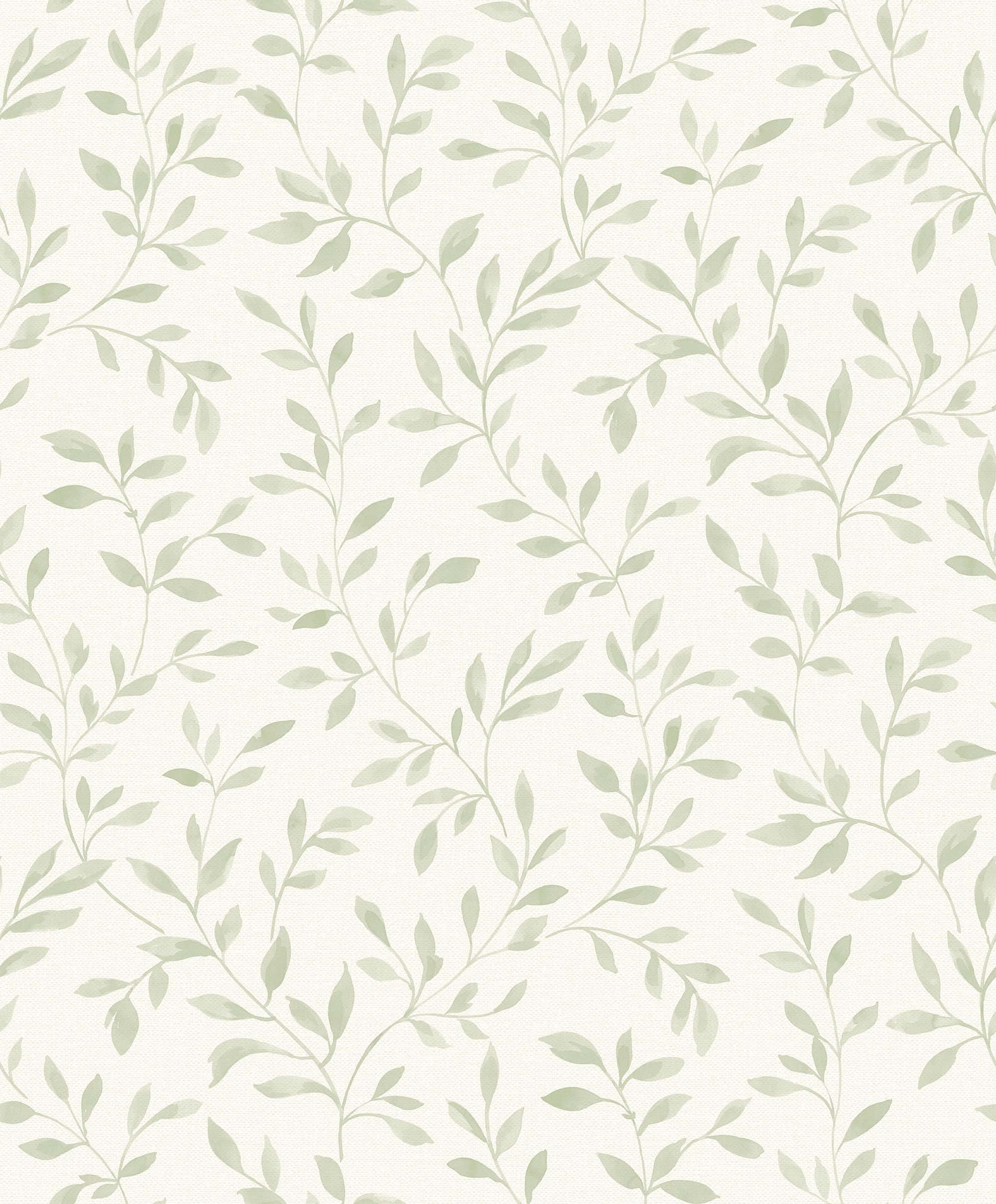 Mapayapang Sage Green Aesthetic na Background Wallpaper