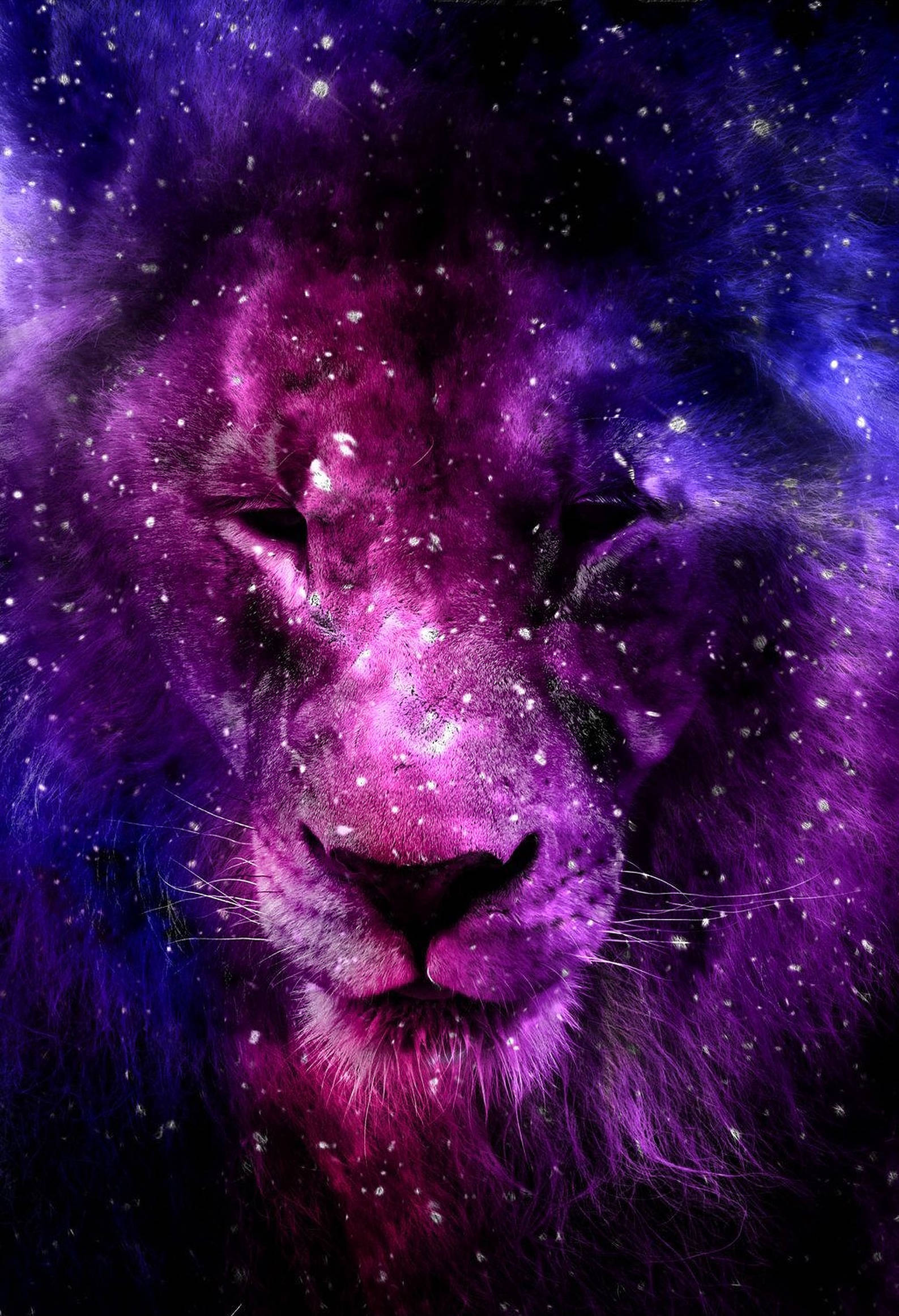 Marikit na Lion ng Kalawakan sa Gradient na Rosas at Lila Wallpaper
