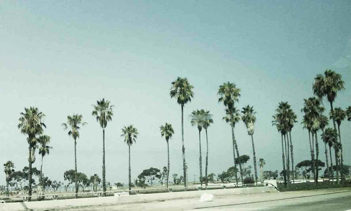 Marikit na Tanawin ng Baybayin ng California Wallpaper
