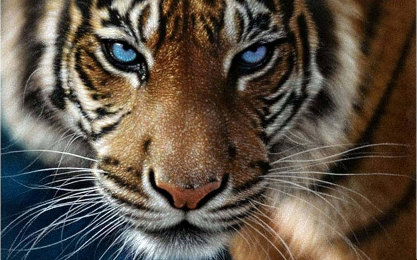 Maringal na ligaw na tigre sa kanyang likas na tirahan Wallpaper