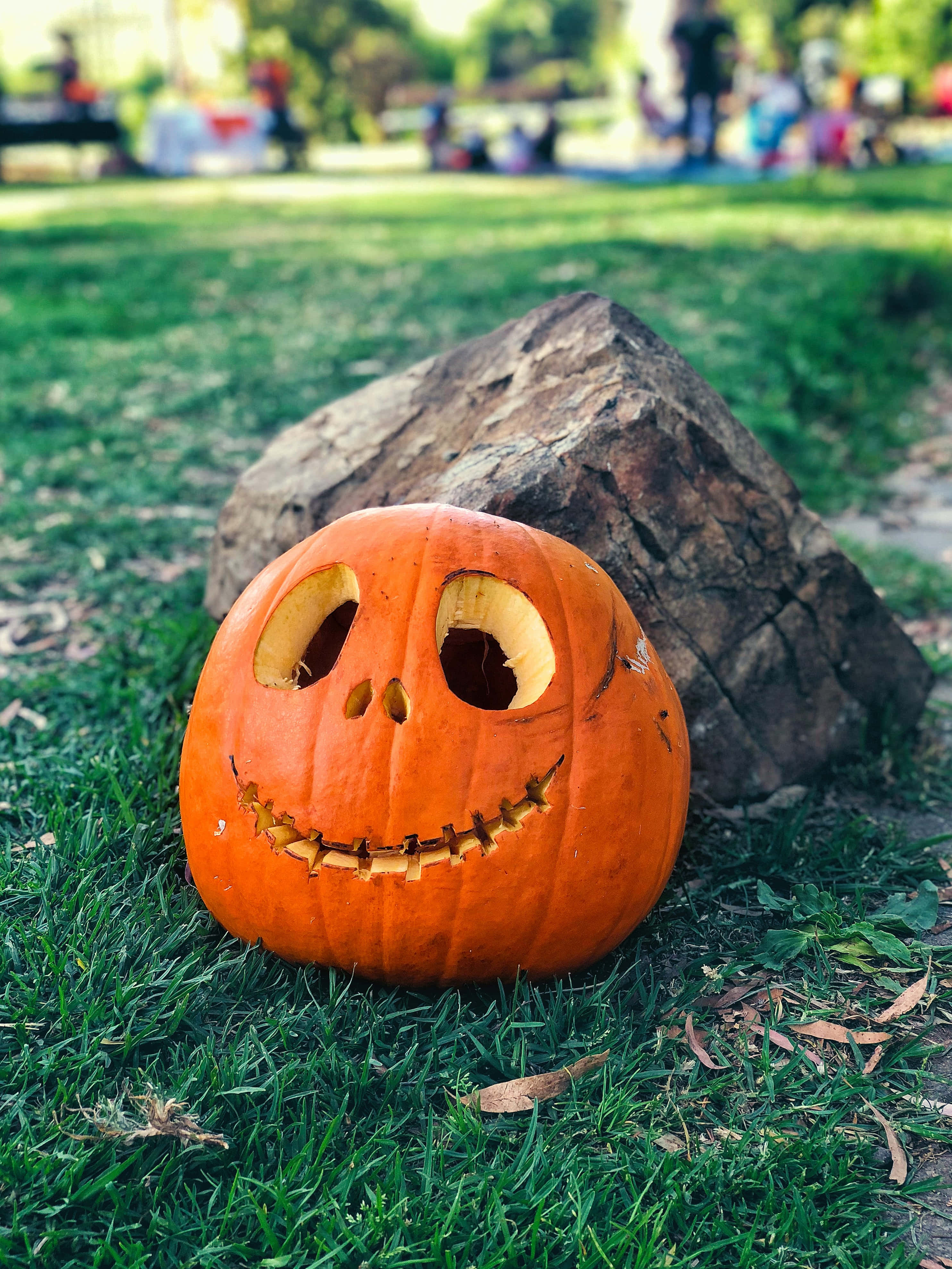 Masayang Jack-O-Lantern na May Mataas na Resolusyong Background para sa Halloween Wallpaper