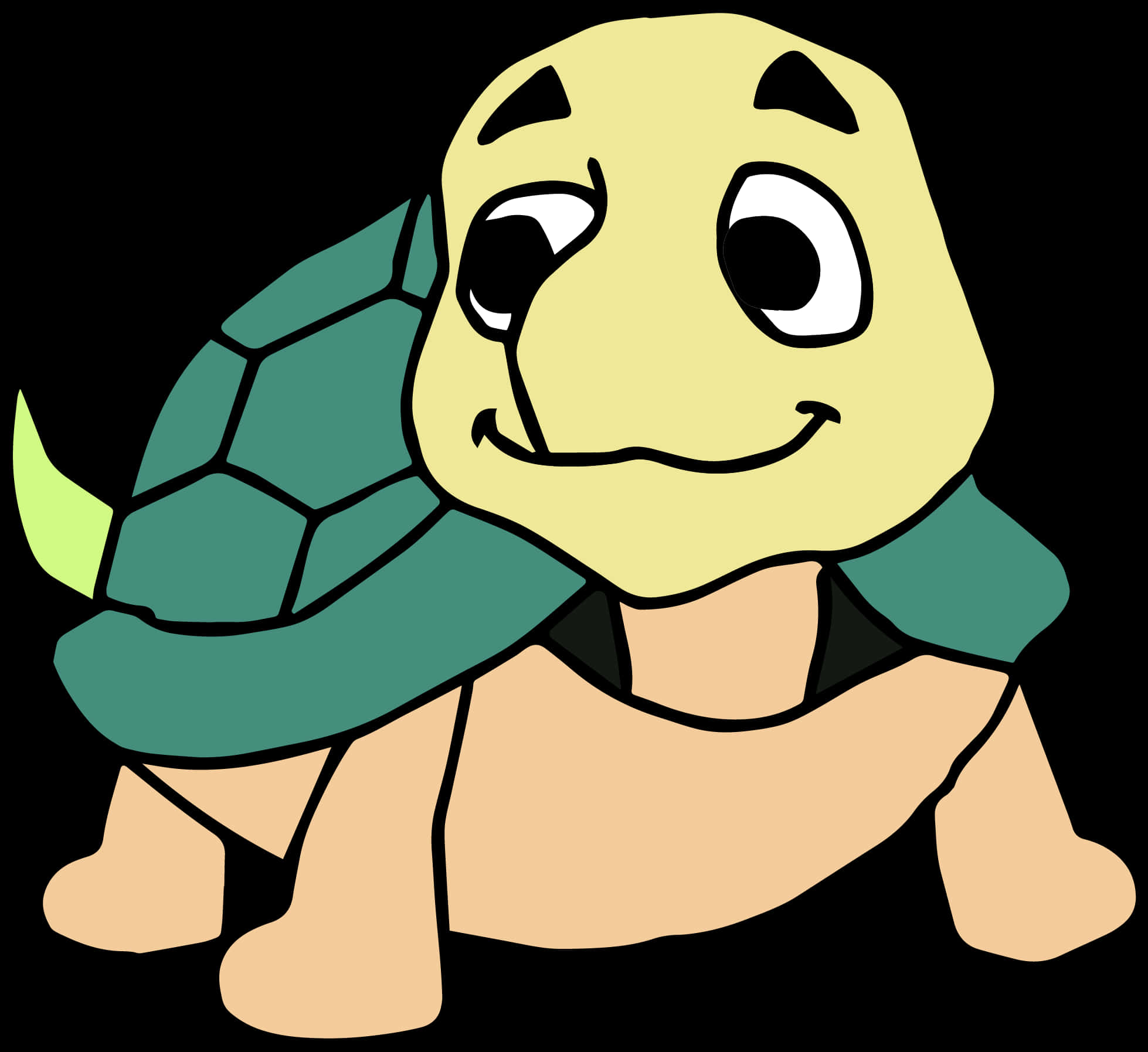 Masayang Pagong na Kartun Wallpaper