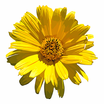 Masiglang Dilaw na Ilustrasyon ng Bulaklak Wallpaper
