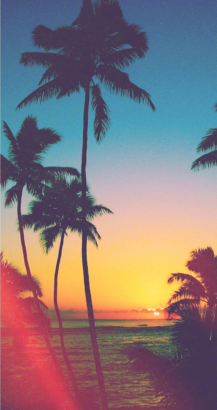 Masiyahan sa isang paglubog ng araw sa paraisong dalampasigan gamit ang iyong iPhone Wallpaper