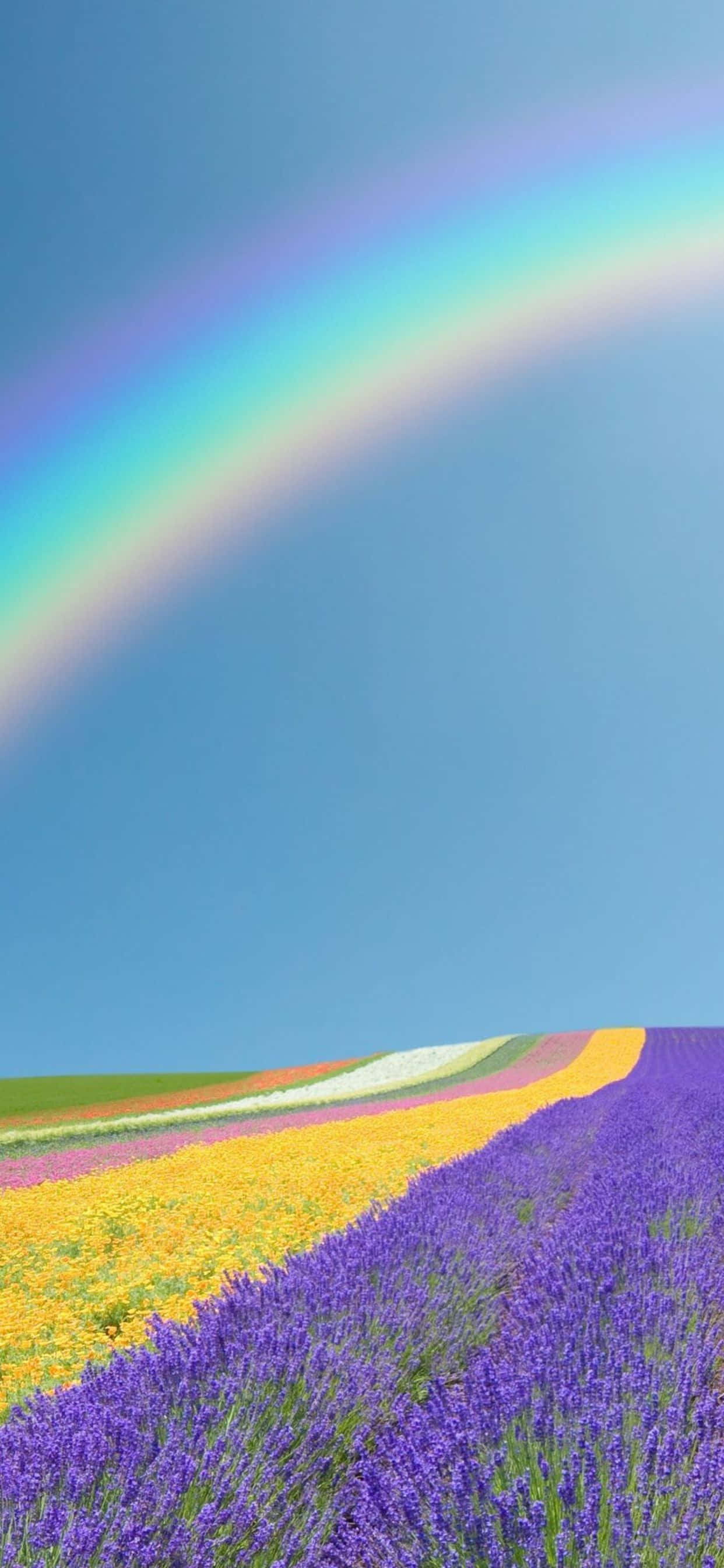 Masiyahan sa Magandang Spring gamit ang Google Pixel 3 Wallpaper