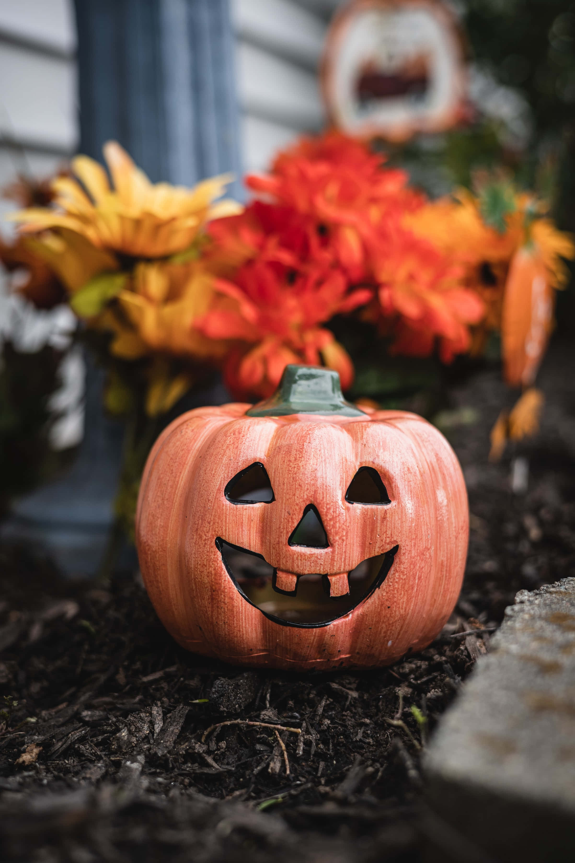 Mataas na Resolusyong Bulaklak na Kalabasa para sa Halloween Background Wallpaper