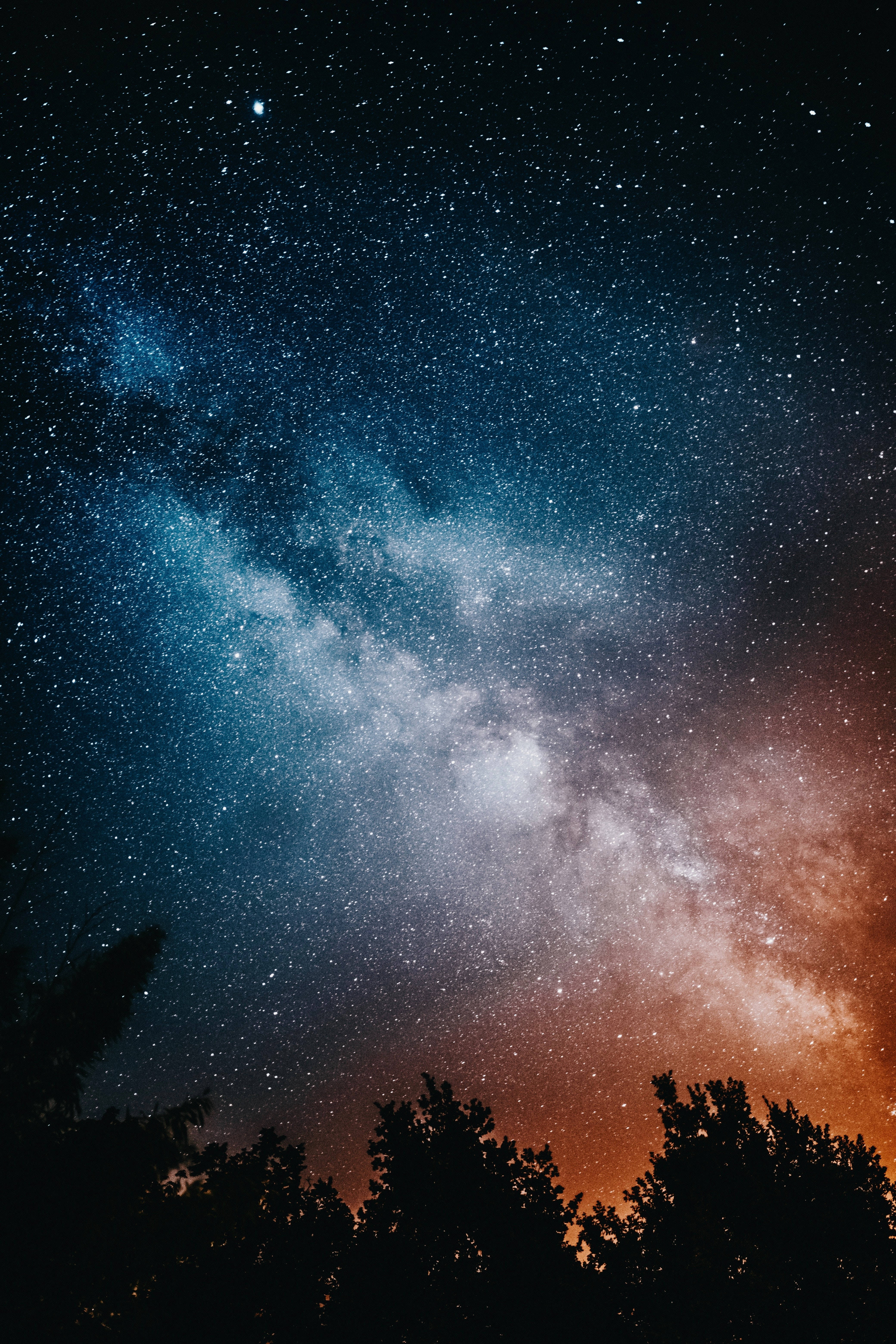 Mataas na Resolusyong Bituin at mga Puno Wallpaper