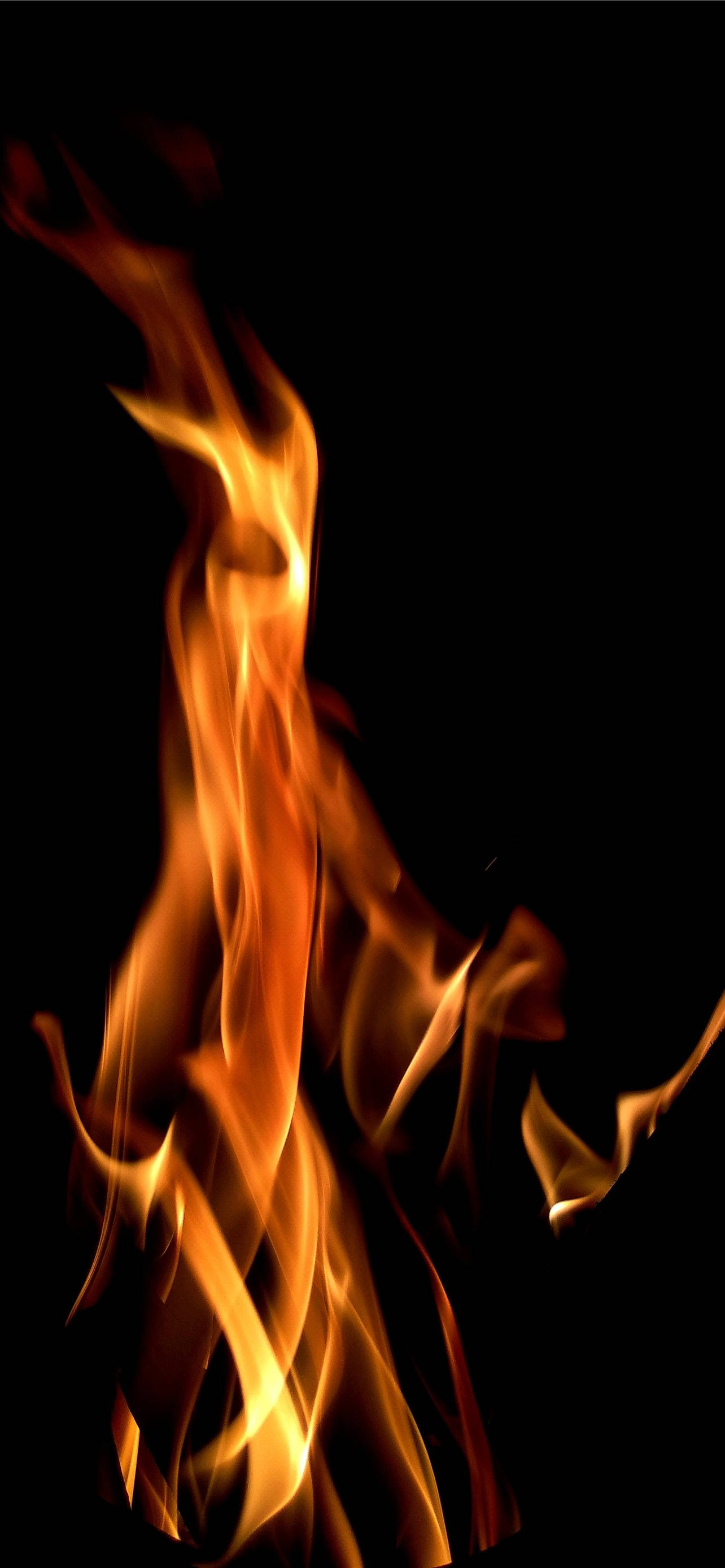 Matangkad na Pulang Apoy Wallpaper