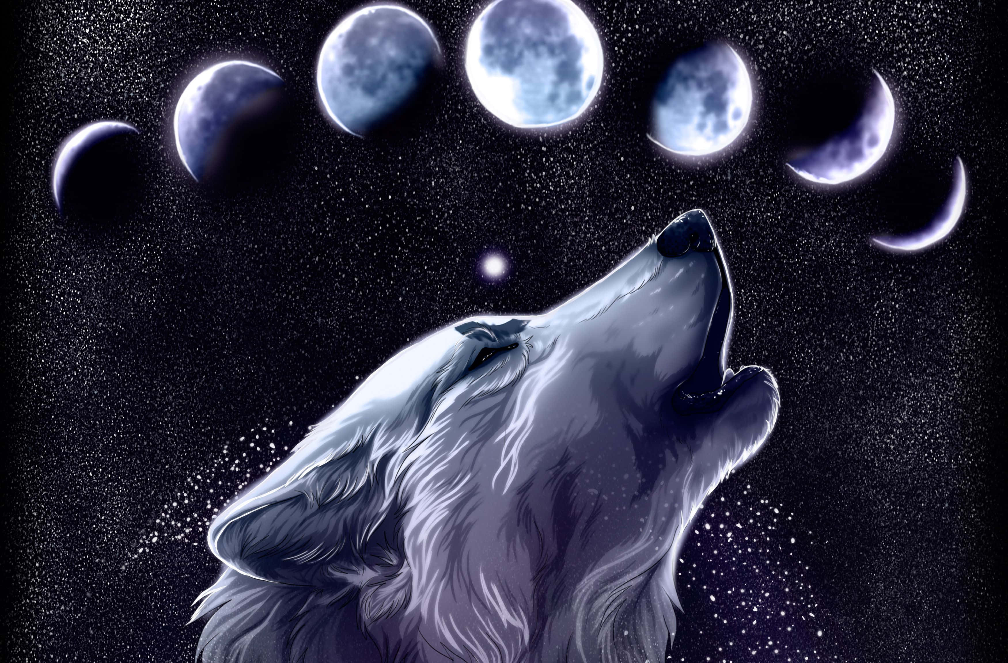 "Matapang at Maringal: Isang Kahanga-hangang Malamig na Lobo" Wallpaper
