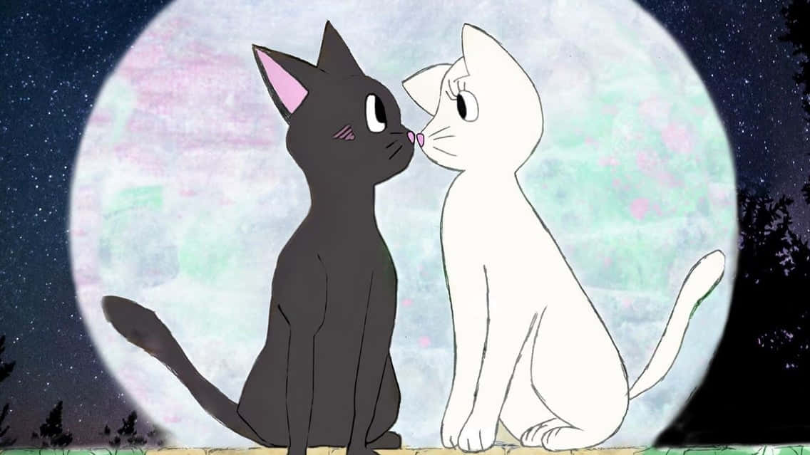 Matching na Cat Pfp na Sailor Moon Wallpaper