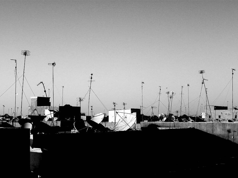 Mauritania Itim at Puti Wallpaper