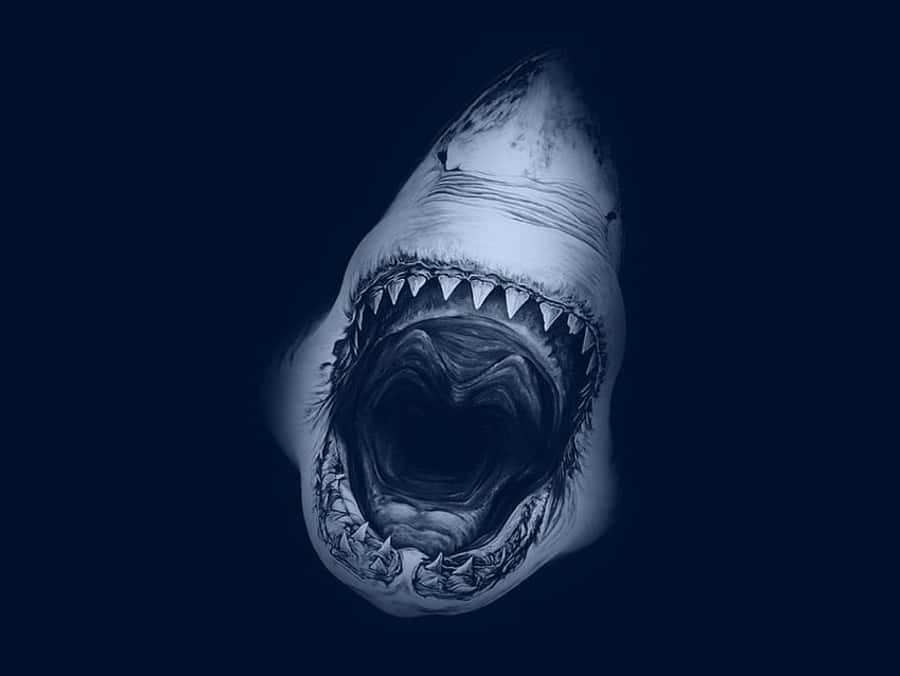 Megalodon Asul na Aesthetic na Atungal na Larawan Wallpaper