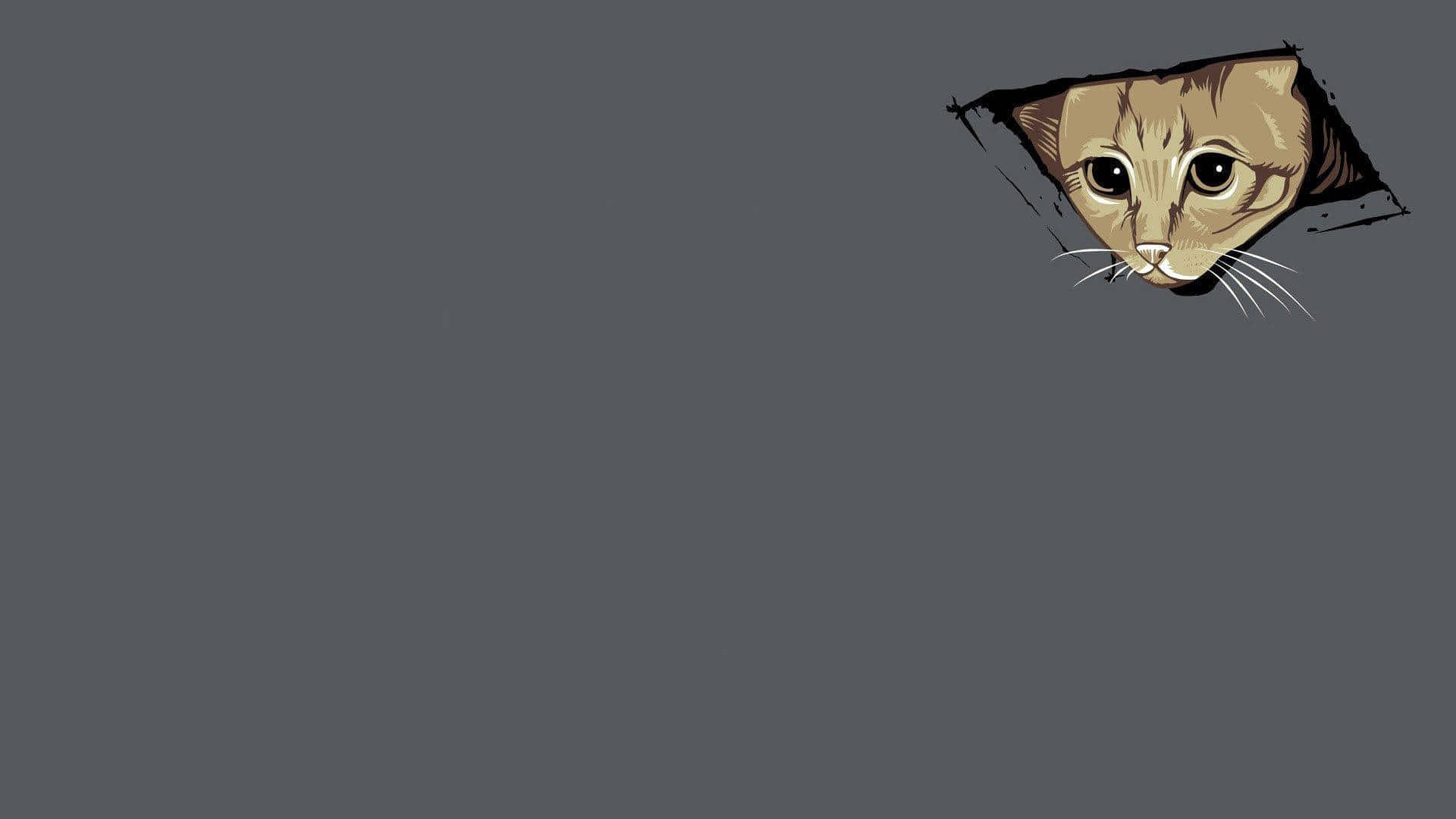Meme ng Pusa na Nakatingin sa Laptop Wallpaper