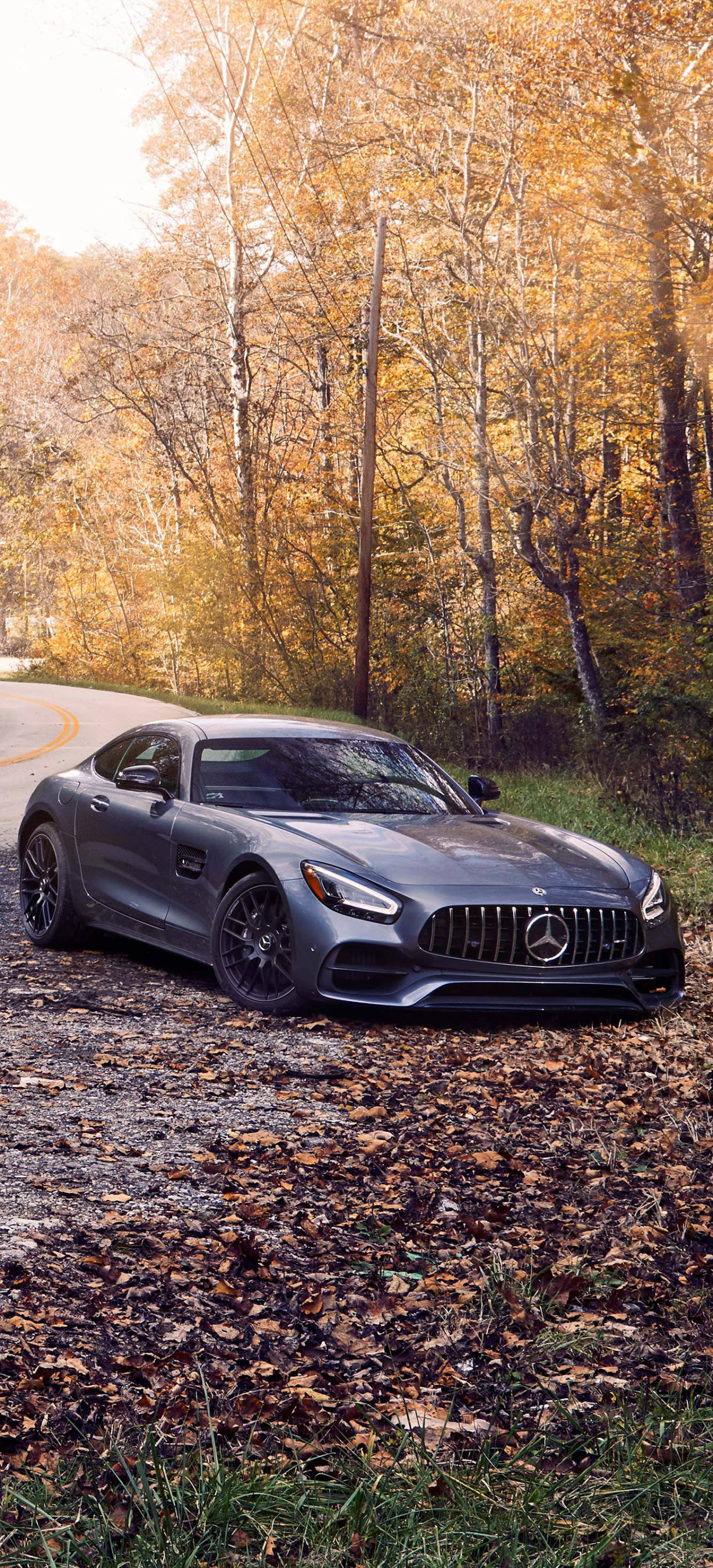 Mercedes AMG Autumn Trees iPhone Wallpaper