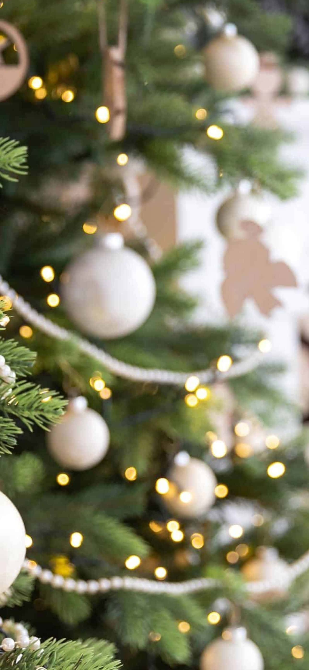 "Maligayang Pasko!" Wallpaper