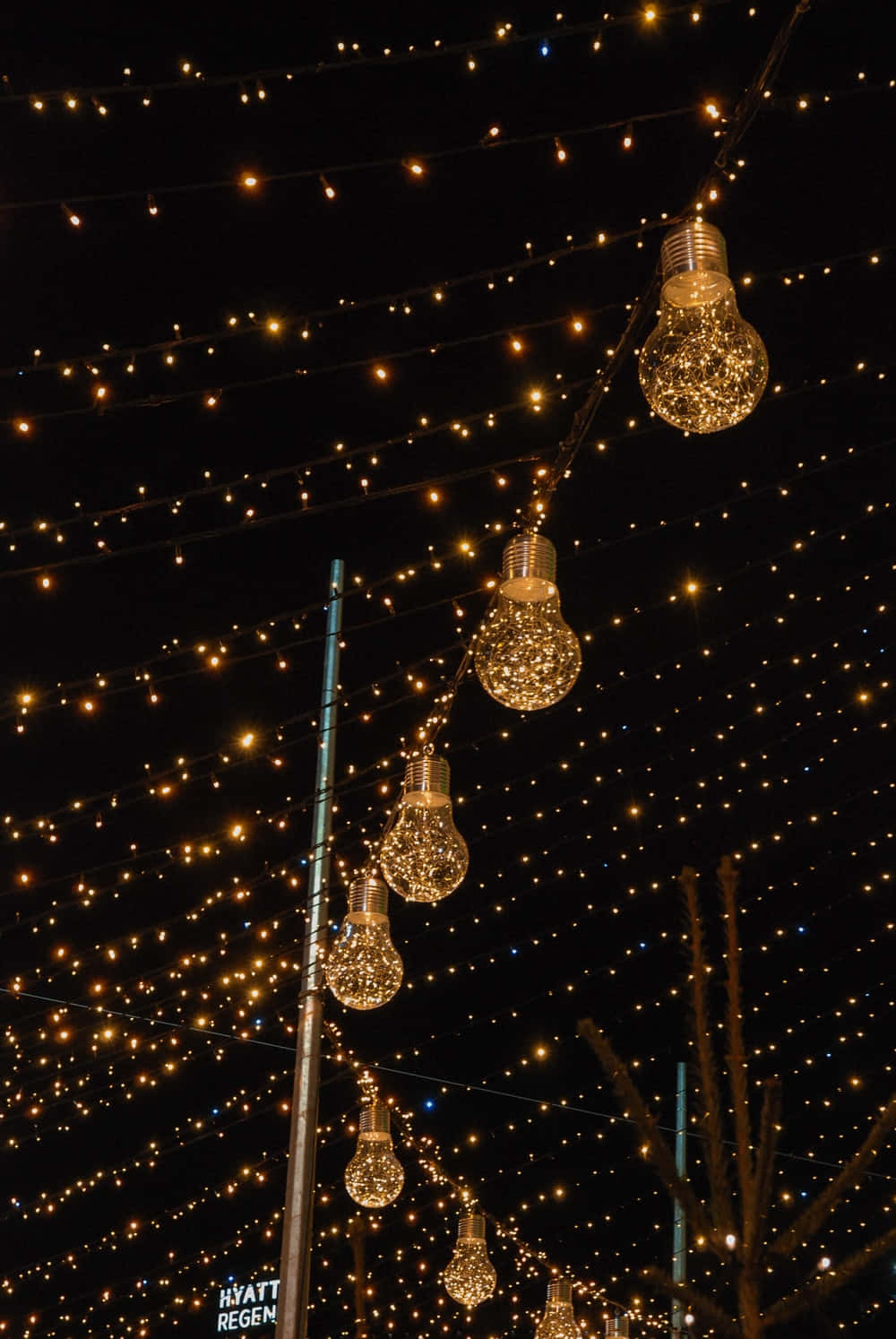 Mesmerizing Spring Lights na Inilulubog ang Isang Magandang Forest Wallpaper