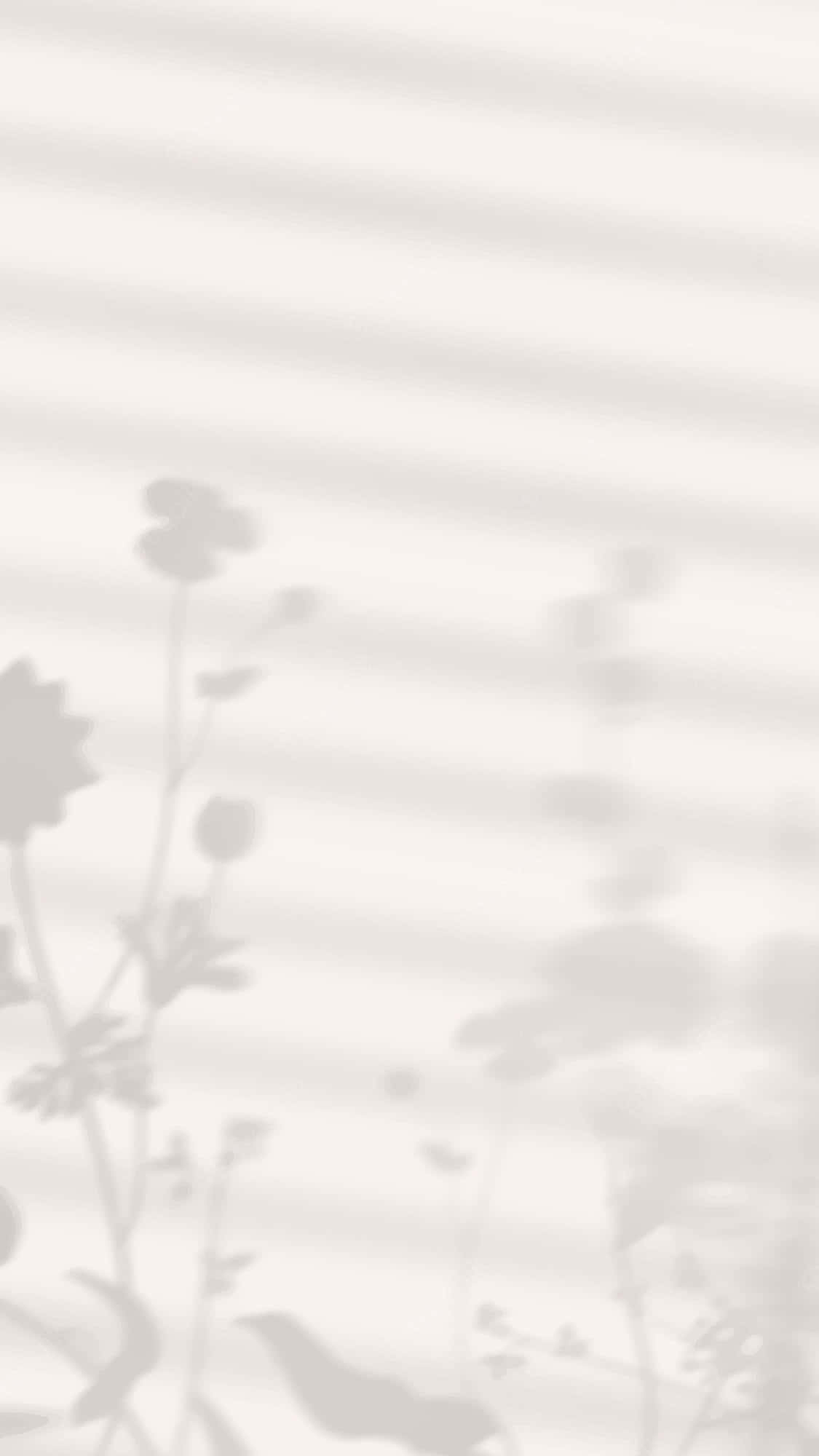 Mga Aesthetic na Larawan ng Anino ng Halaman Wallpaper