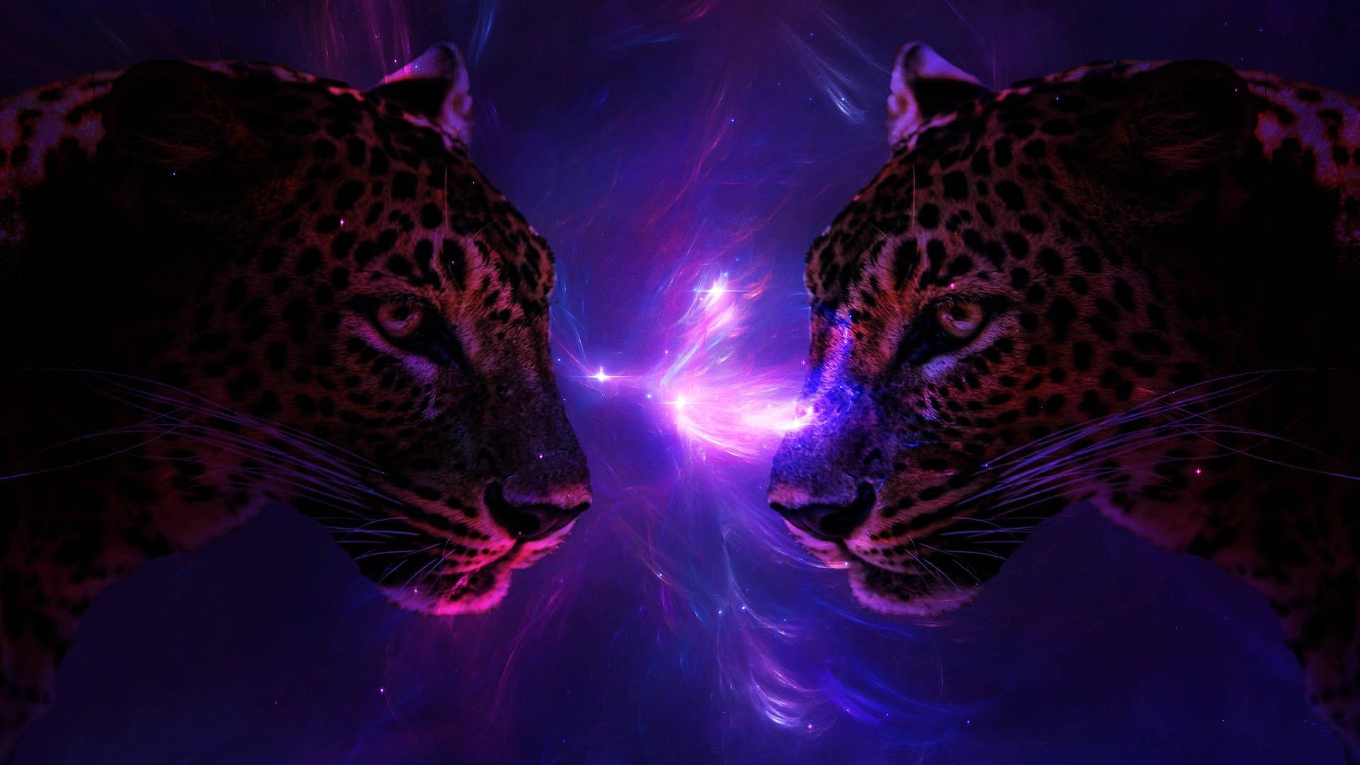 Mga Cheetah sa Isang Cute na Galaxy Wallpaper