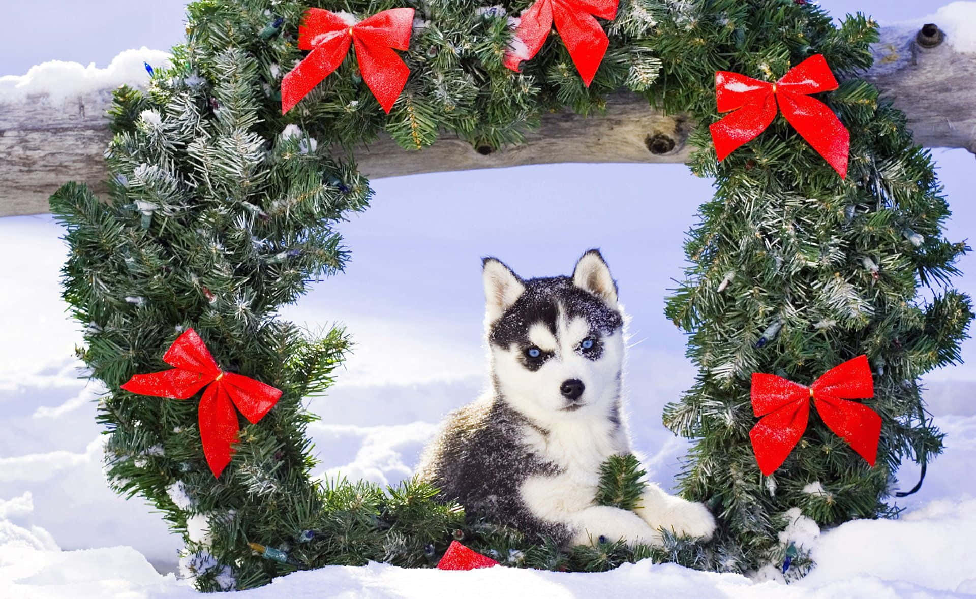Mga Cute at Aesthetic na Larawan ng Pasko Wallpaper