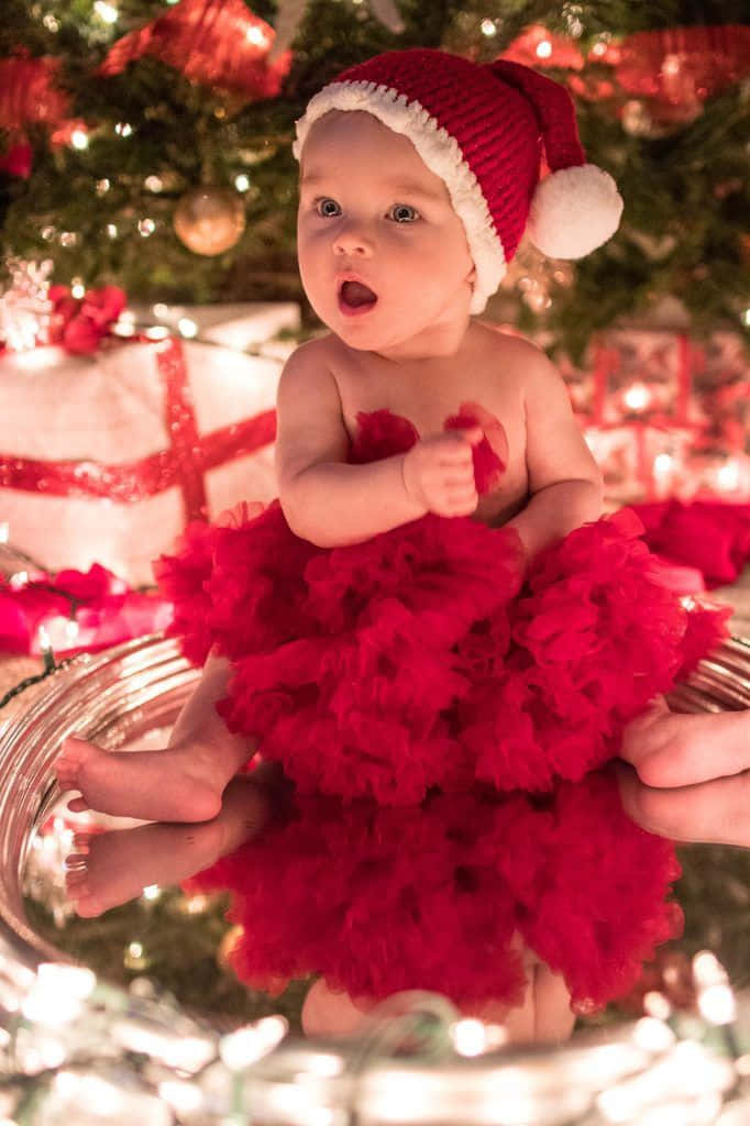 Mga cute na larawan ng Pasko Wallpaper