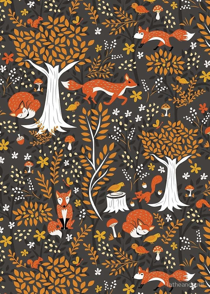 Mga cute na larawan ng taglagas Wallpaper