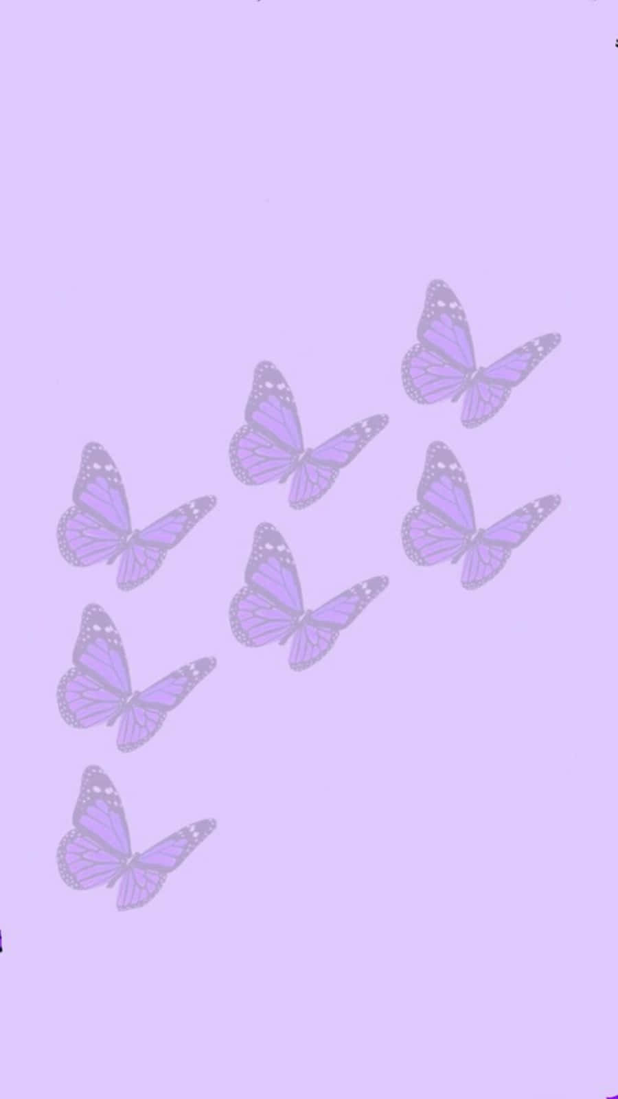 Mga Cute na Light Purple na Paru-paro Wallpaper