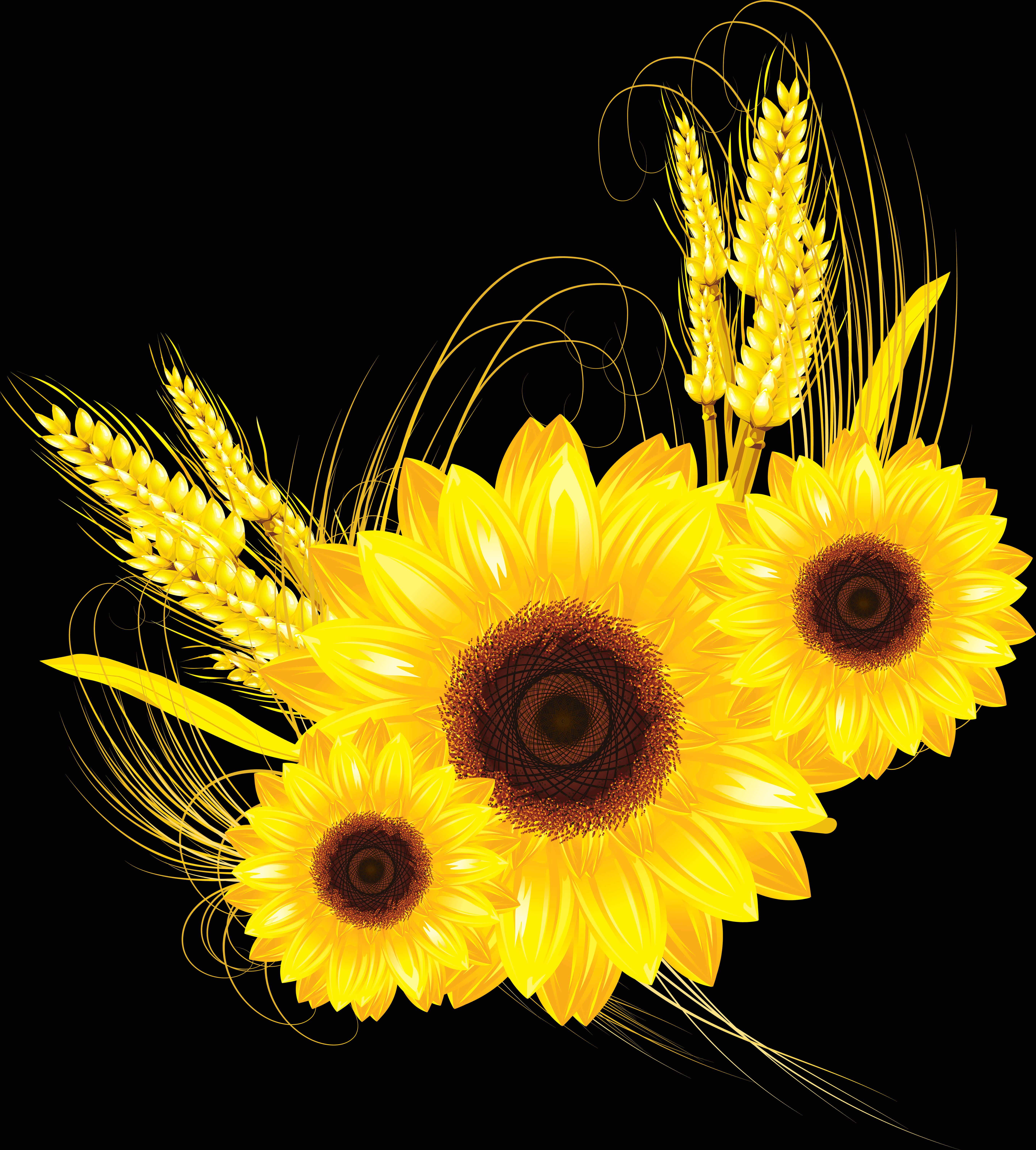 Mga Gintong Sunflower at Wheaton Black Wallpaper