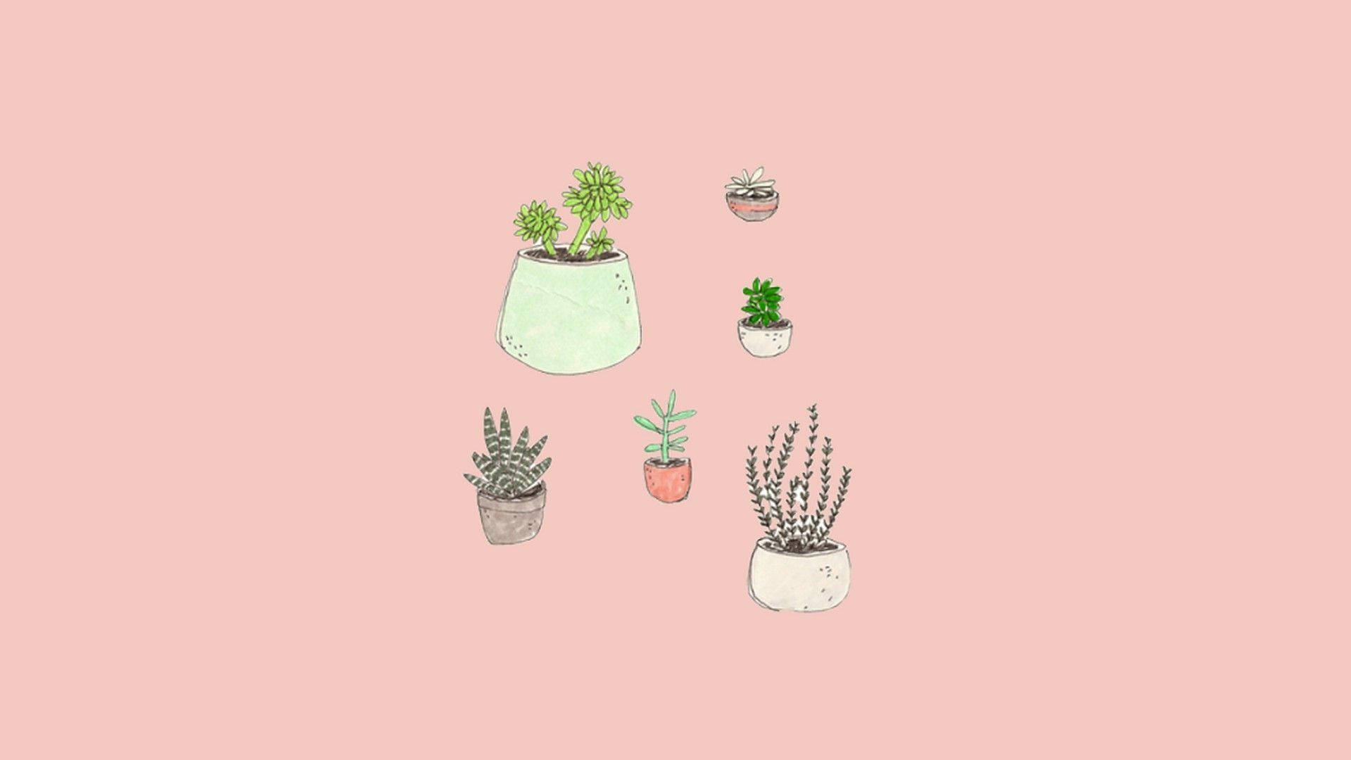 Mga Halaman sa Aesthetic Pink Wallpaper