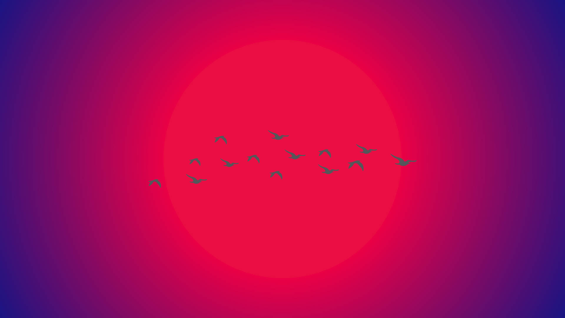 Mga Ibong Lumilipad Laban sa Araw na Minimalist Aesthetic Laptop Wallpaper
