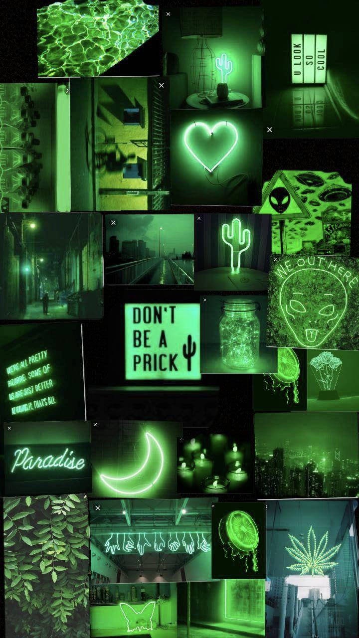 Mga Ilaw na Aesthetic na Light Green Wallpaper